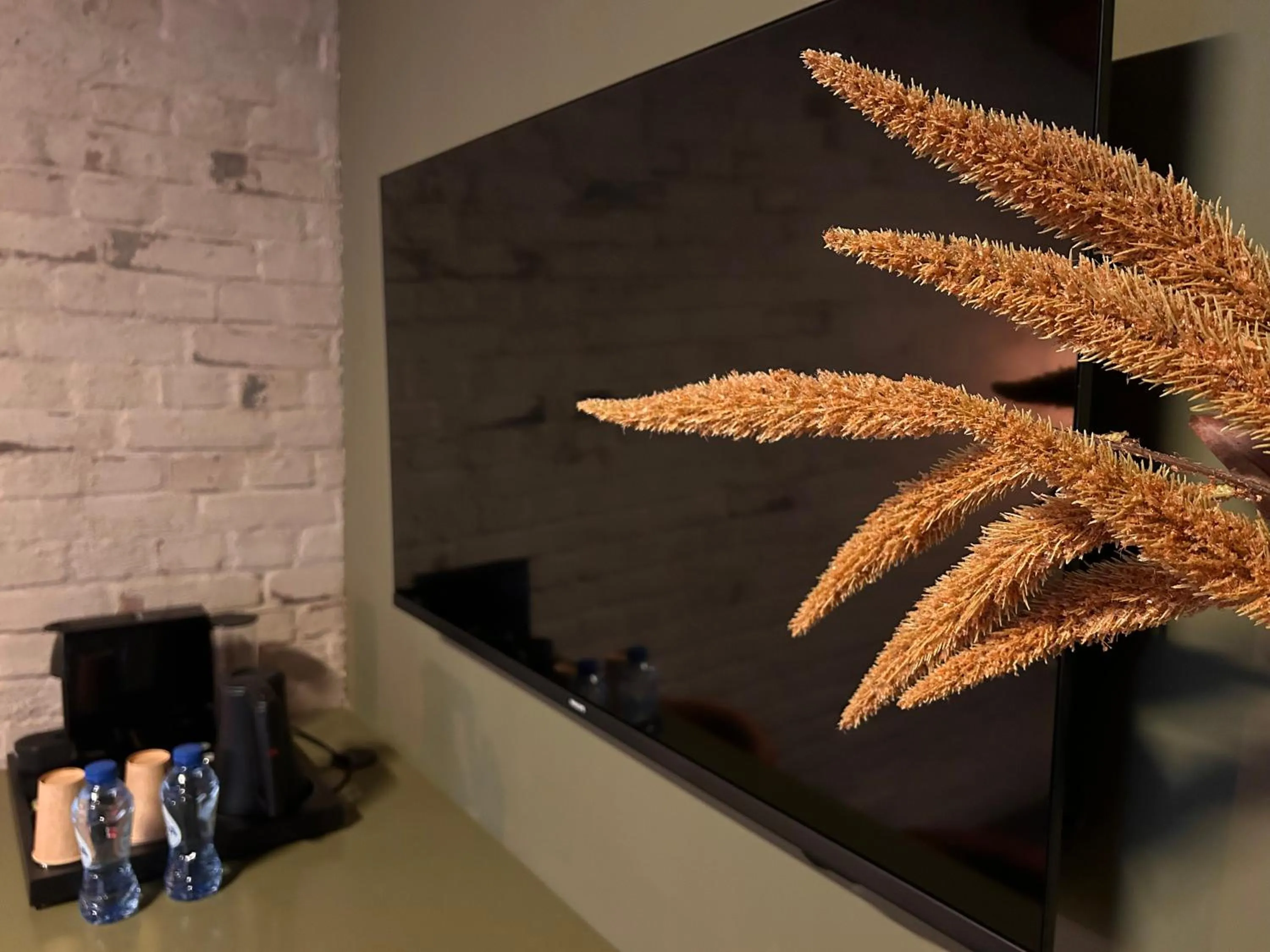 TV and multimedia in Landgoed De Hoogmolen