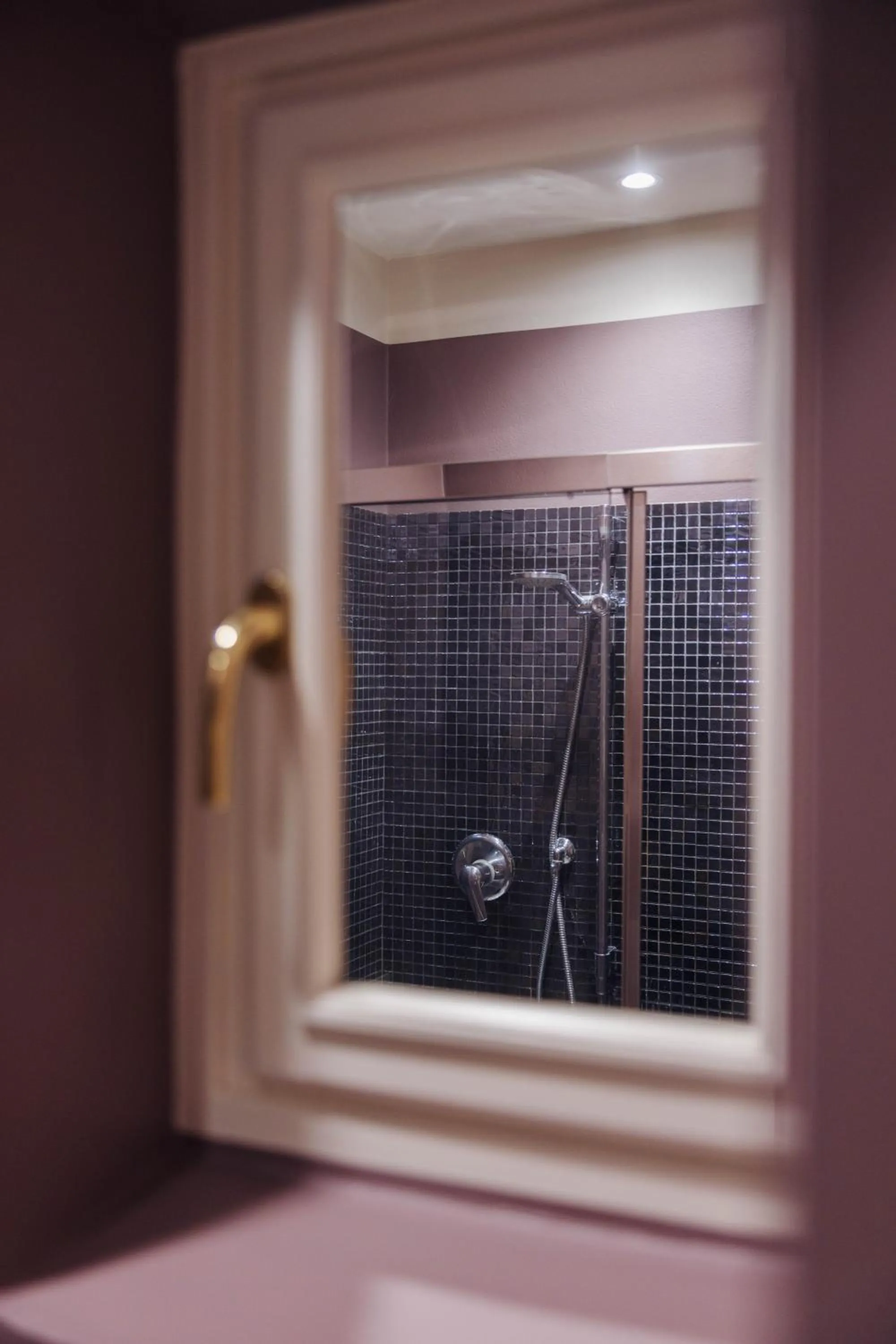 Shower in Palazzo Dalla Rosa Prati