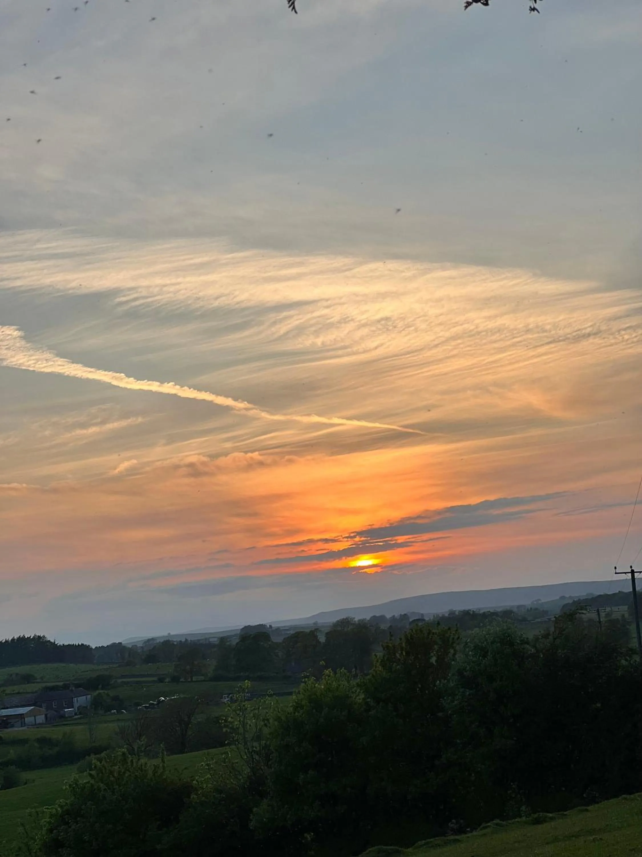 The Fat Lamb Country Inn and Nature Reserve