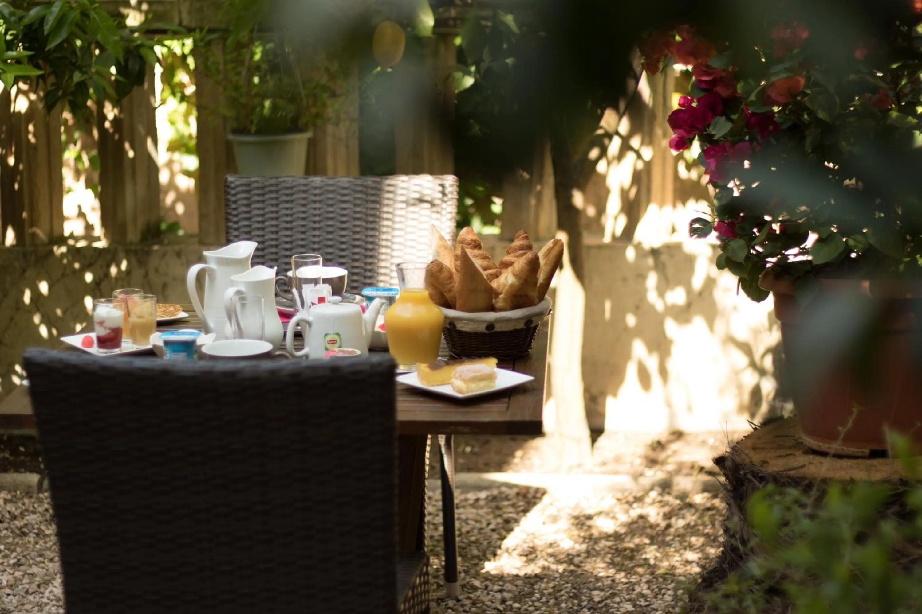 Garden in Hôtel le Chardon Bleu