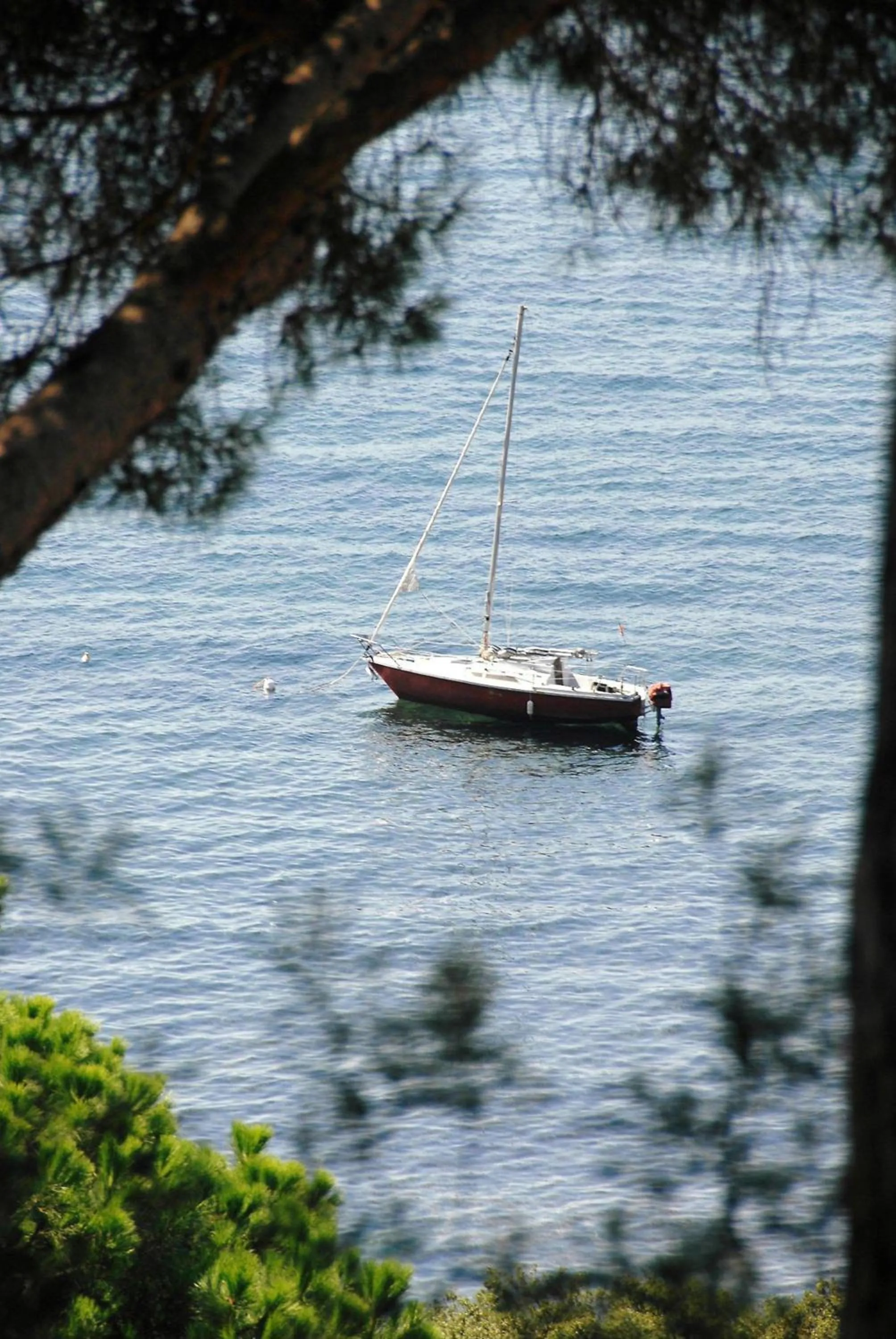 Area and facilities in Hôtel le Chardon Bleu