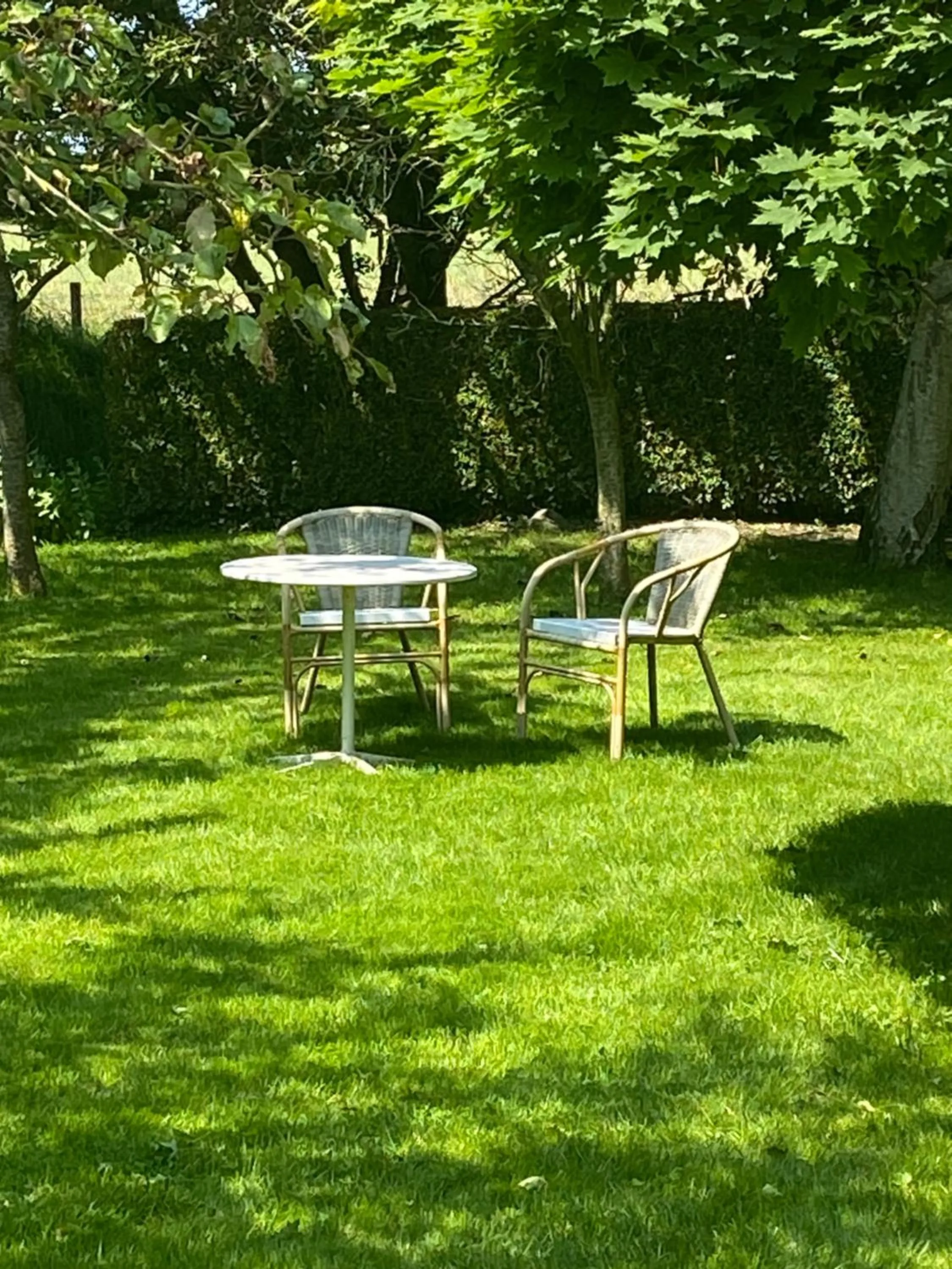 Garden in B&B de Tol