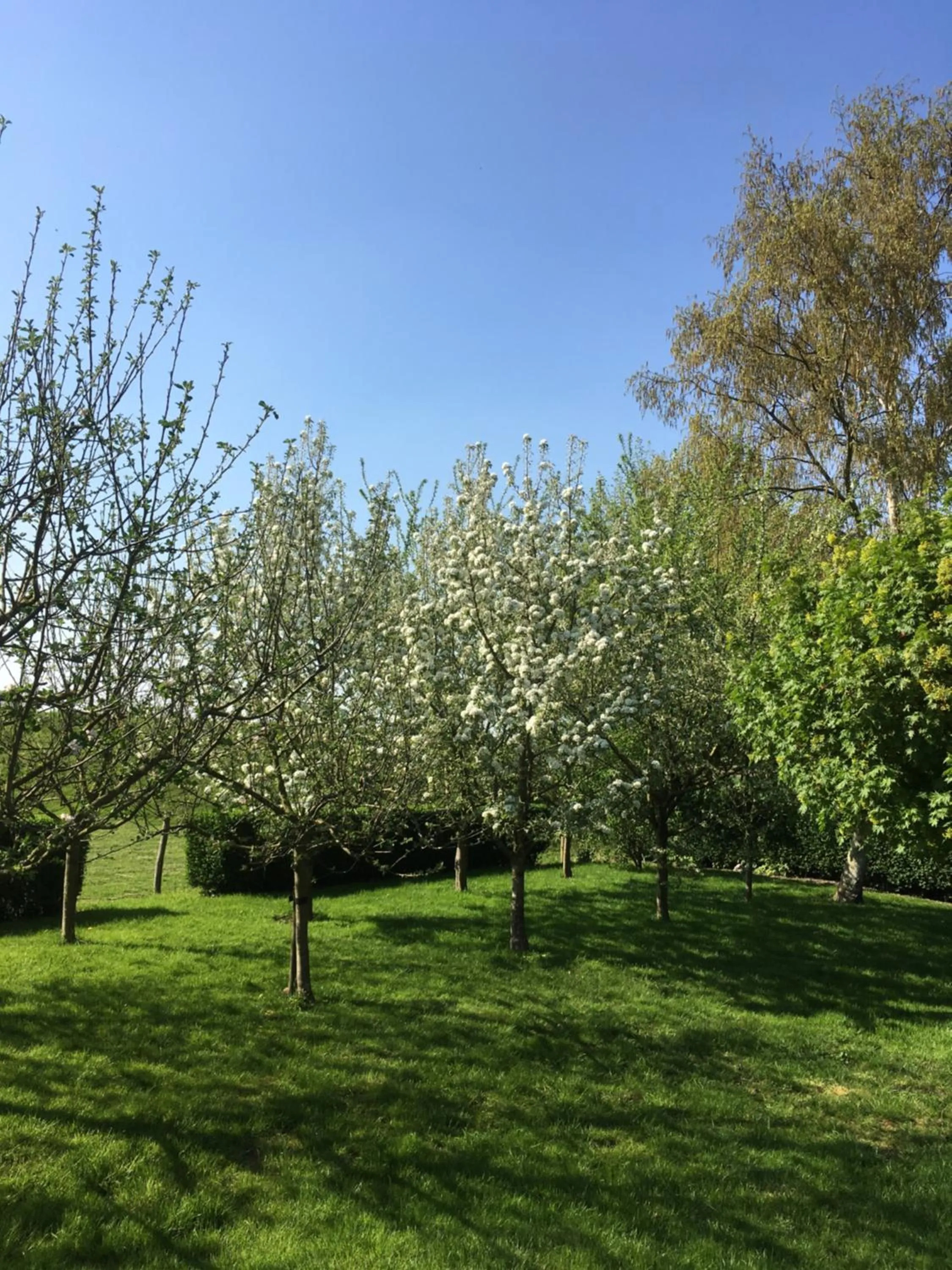 Garden in B&B de Tol