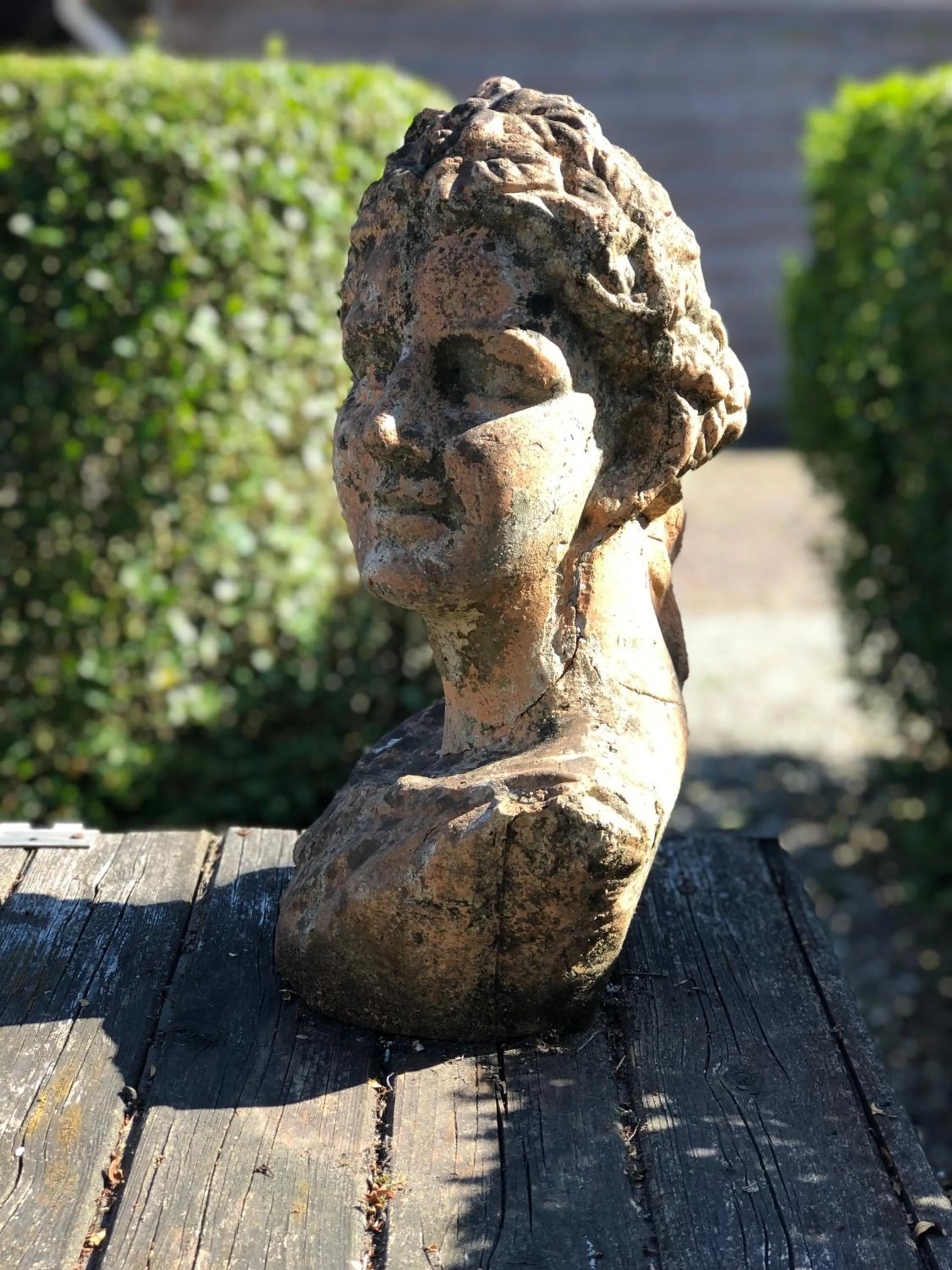 Garden in B&B de Tol