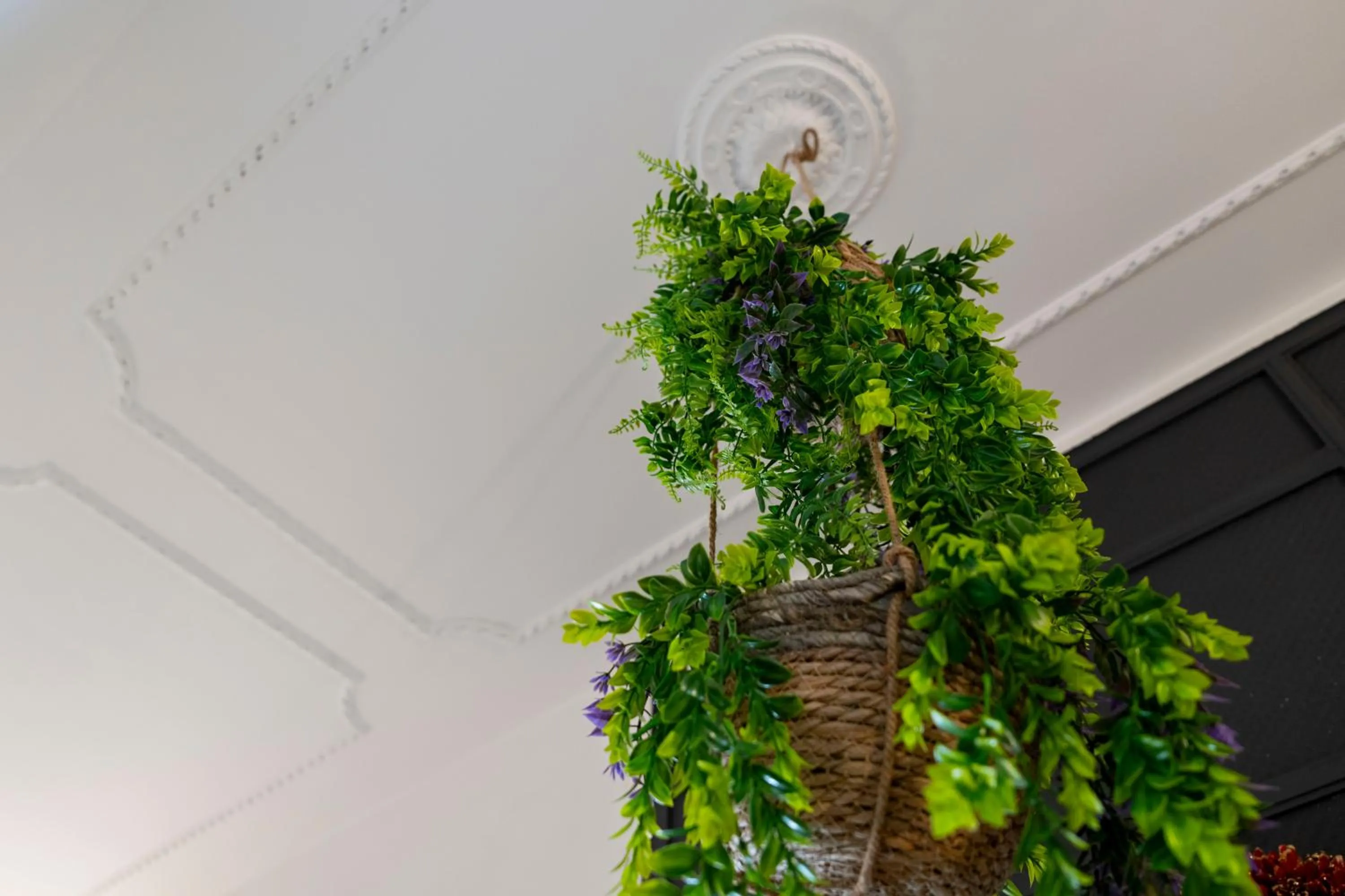 Decorative detail in St. Peter Central Rooms B&B