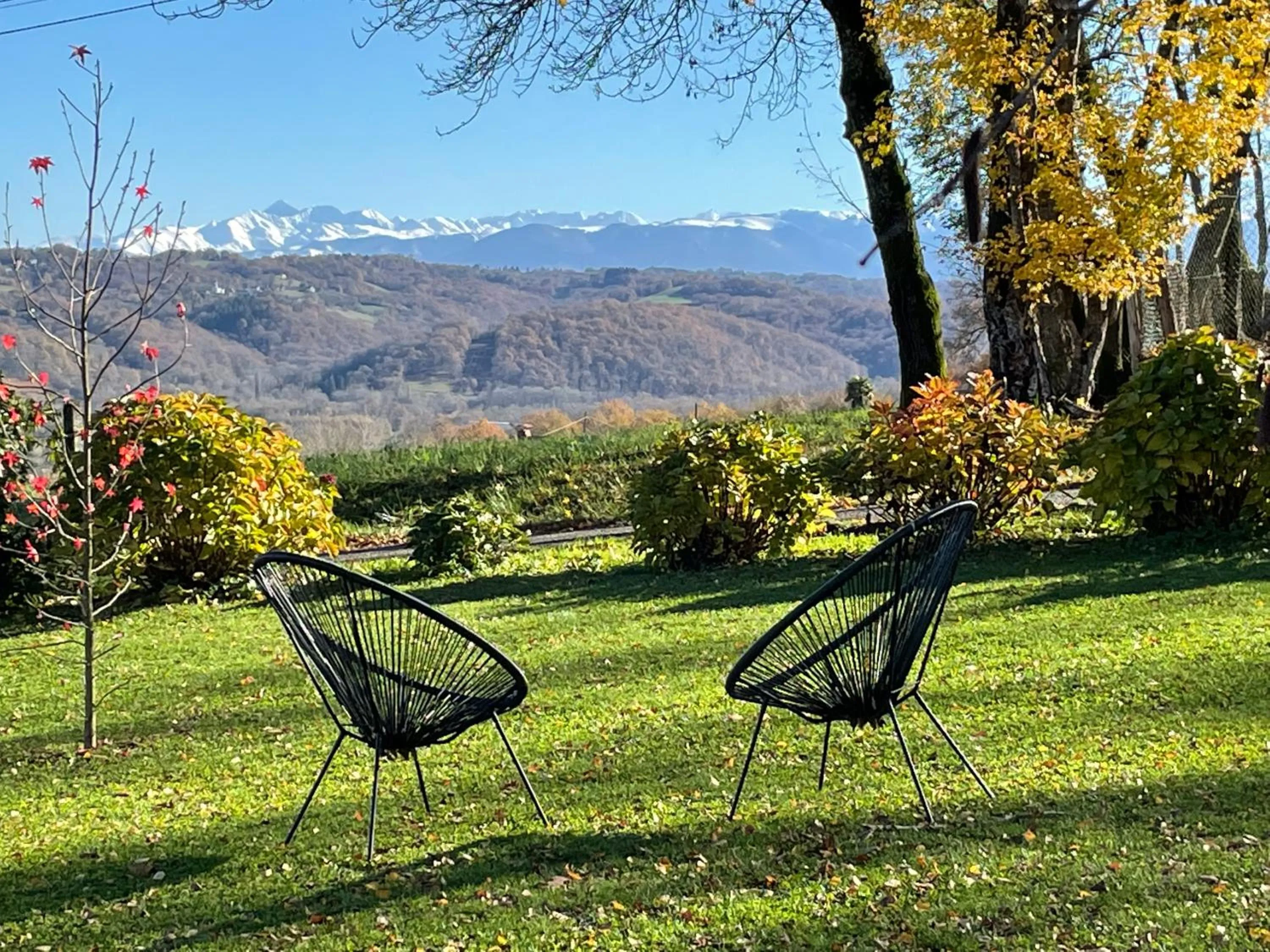 Maison d'Hôtes Canterou
