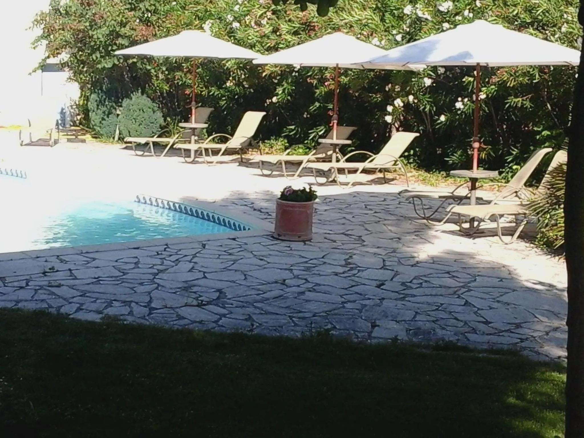 Pool view in Logis Hôtel La Bastide des Monges
