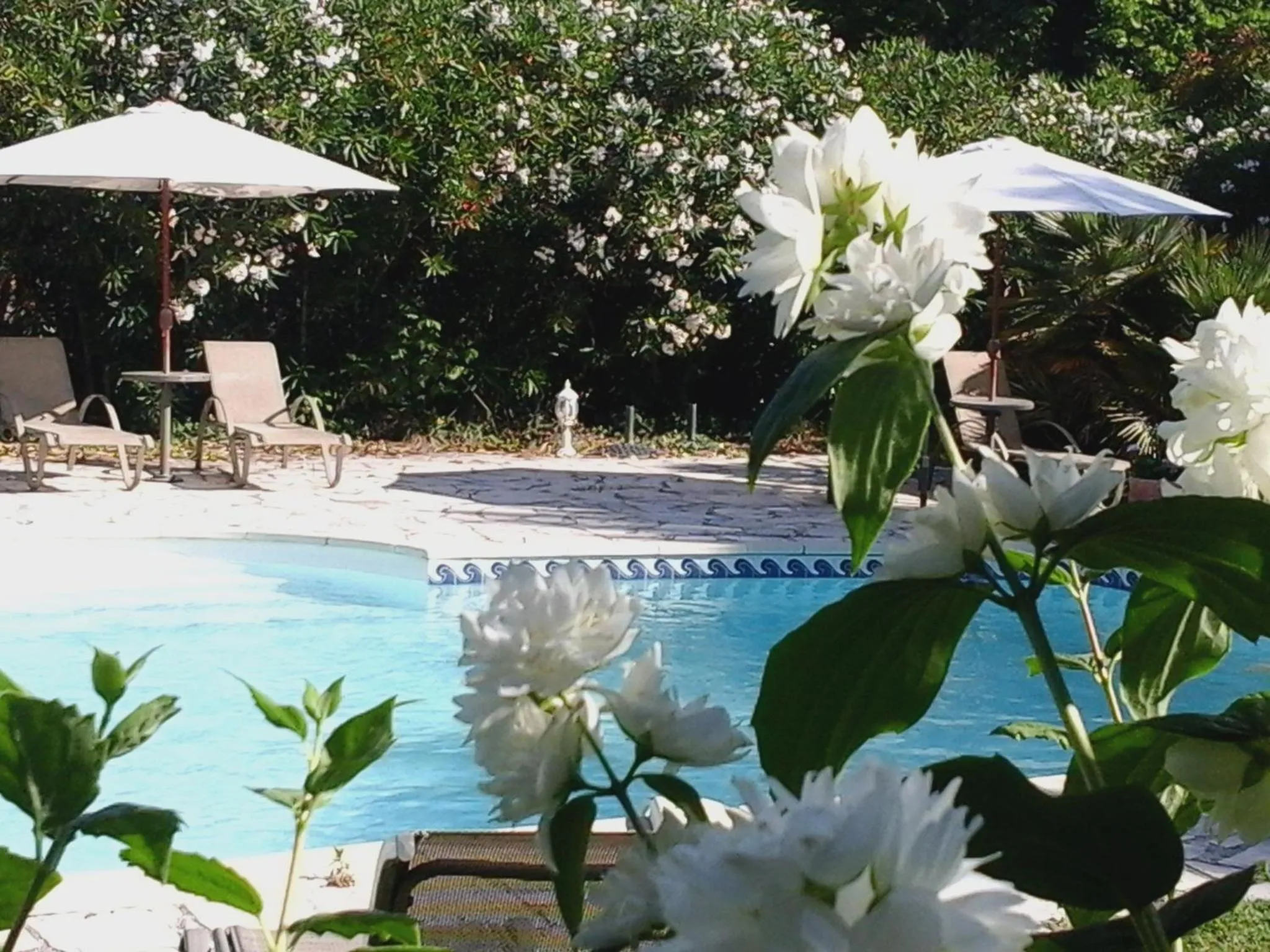 Pool view in Logis Hôtel La Bastide des Monges