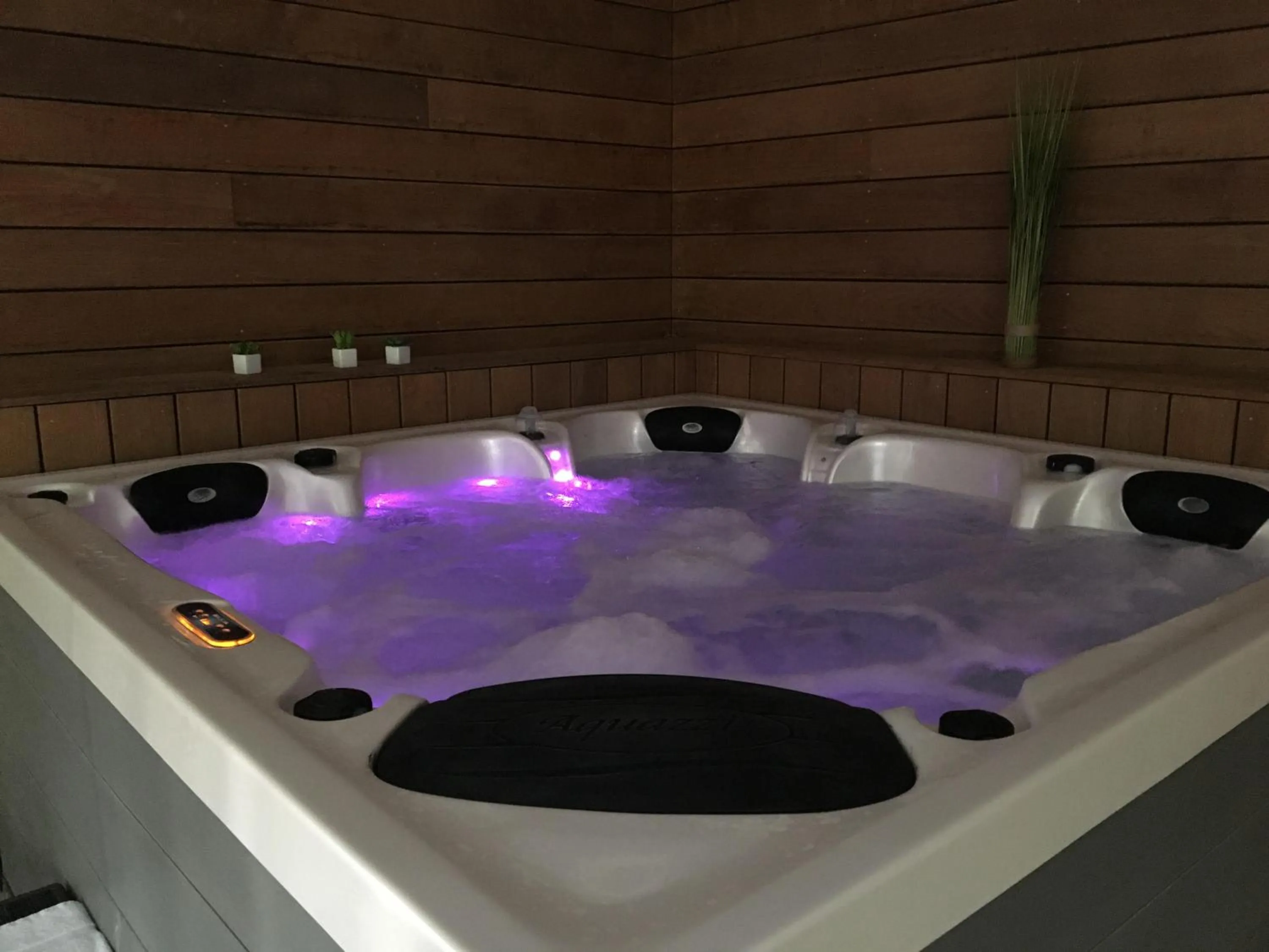 Hot Tub in Logis Hôtel La Bastide des Monges