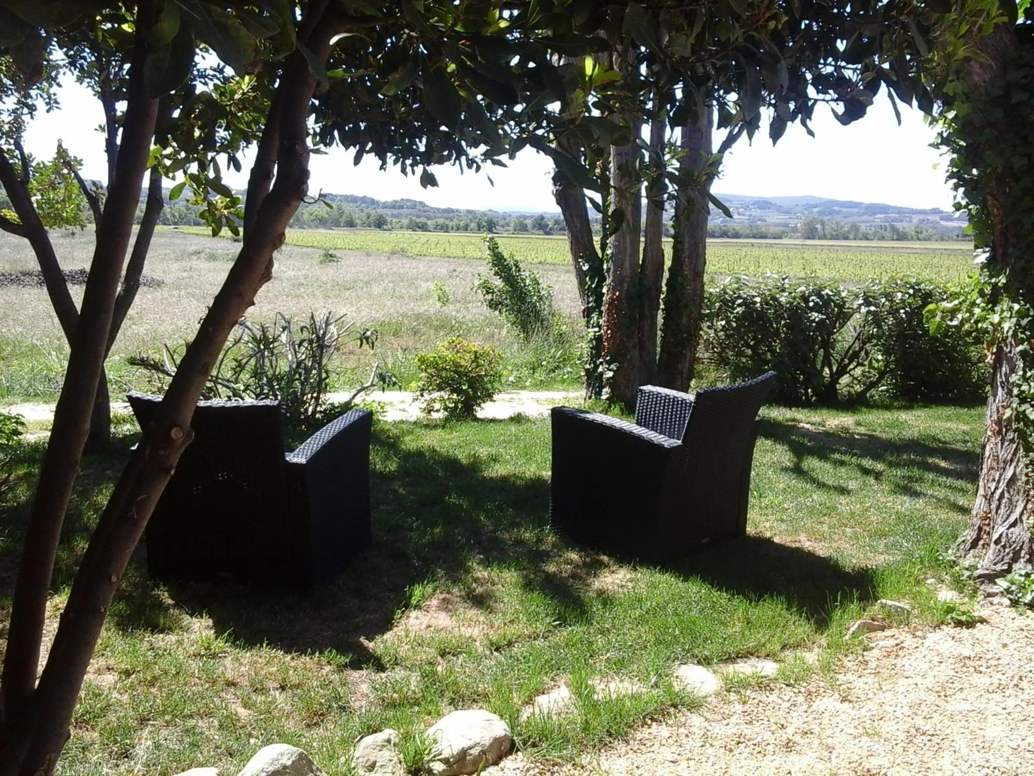 Garden in Logis Hôtel La Bastide des Monges
