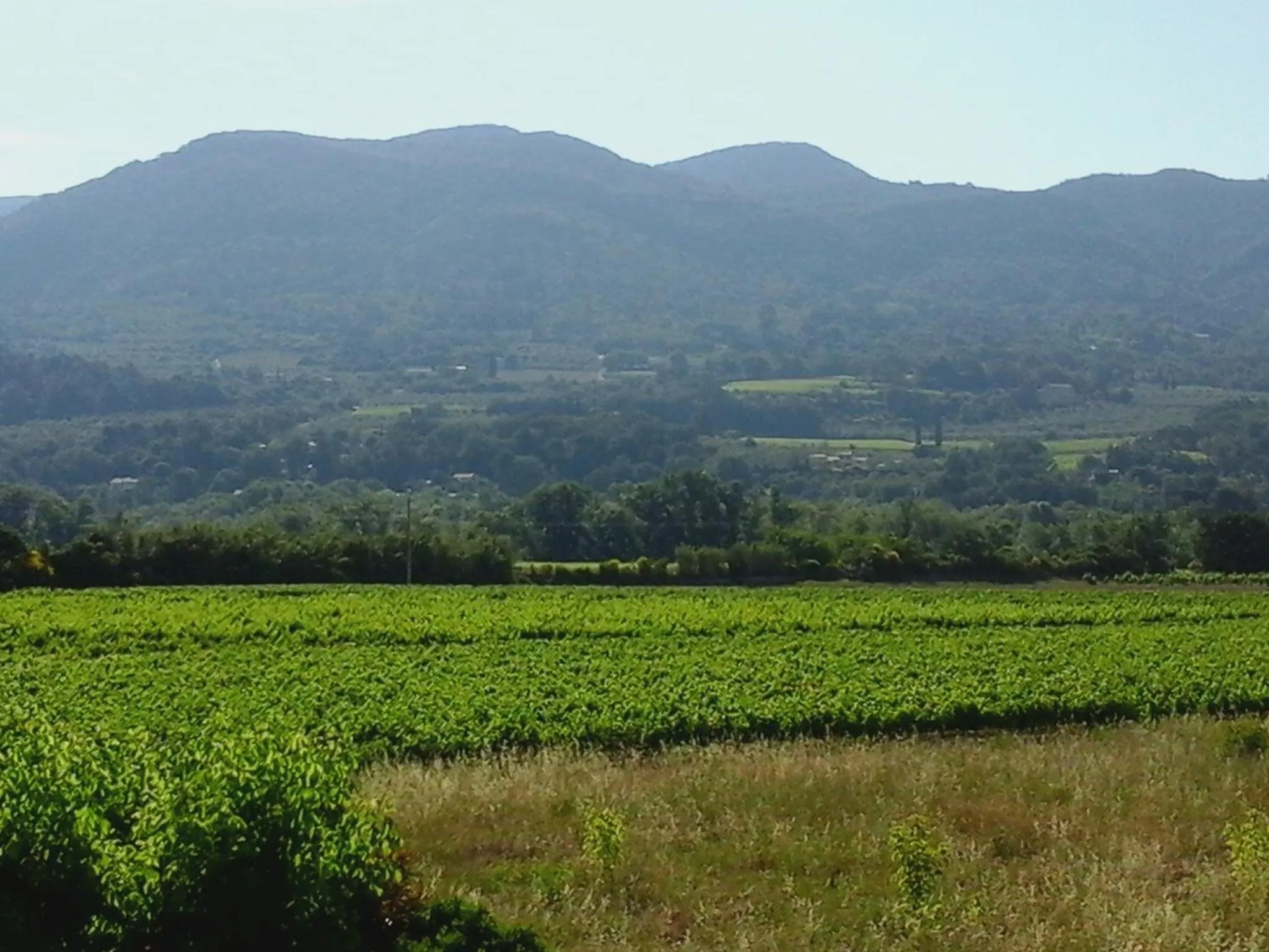 Mountain view in Logis Hôtel La Bastide des Monges