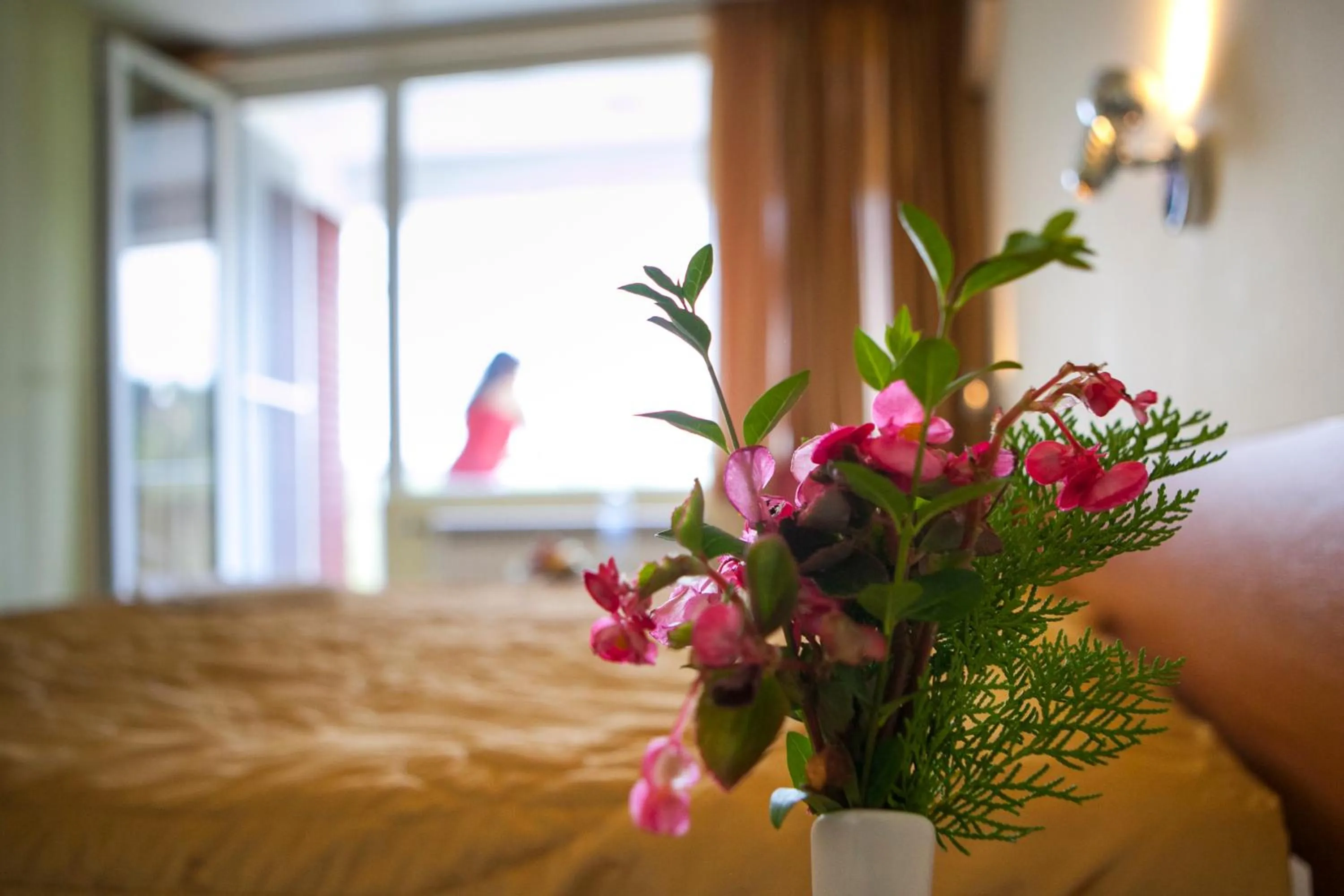 Photo of the whole room in Relax Coop Hotel