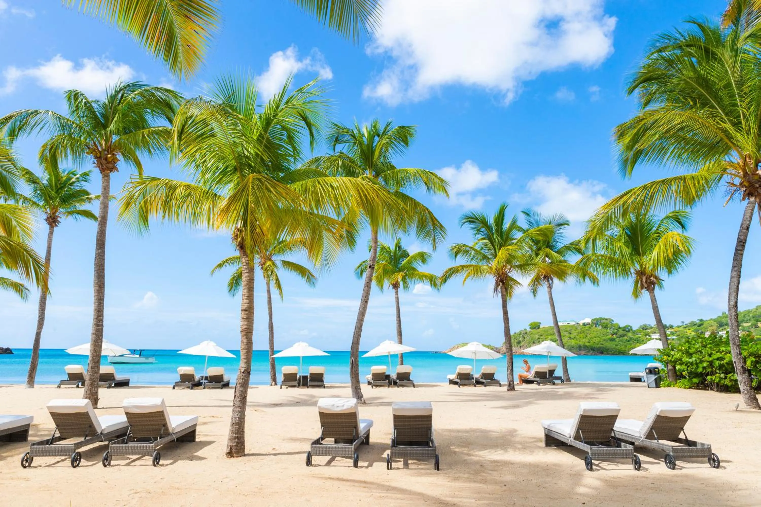 Beach in Carlisle Bay