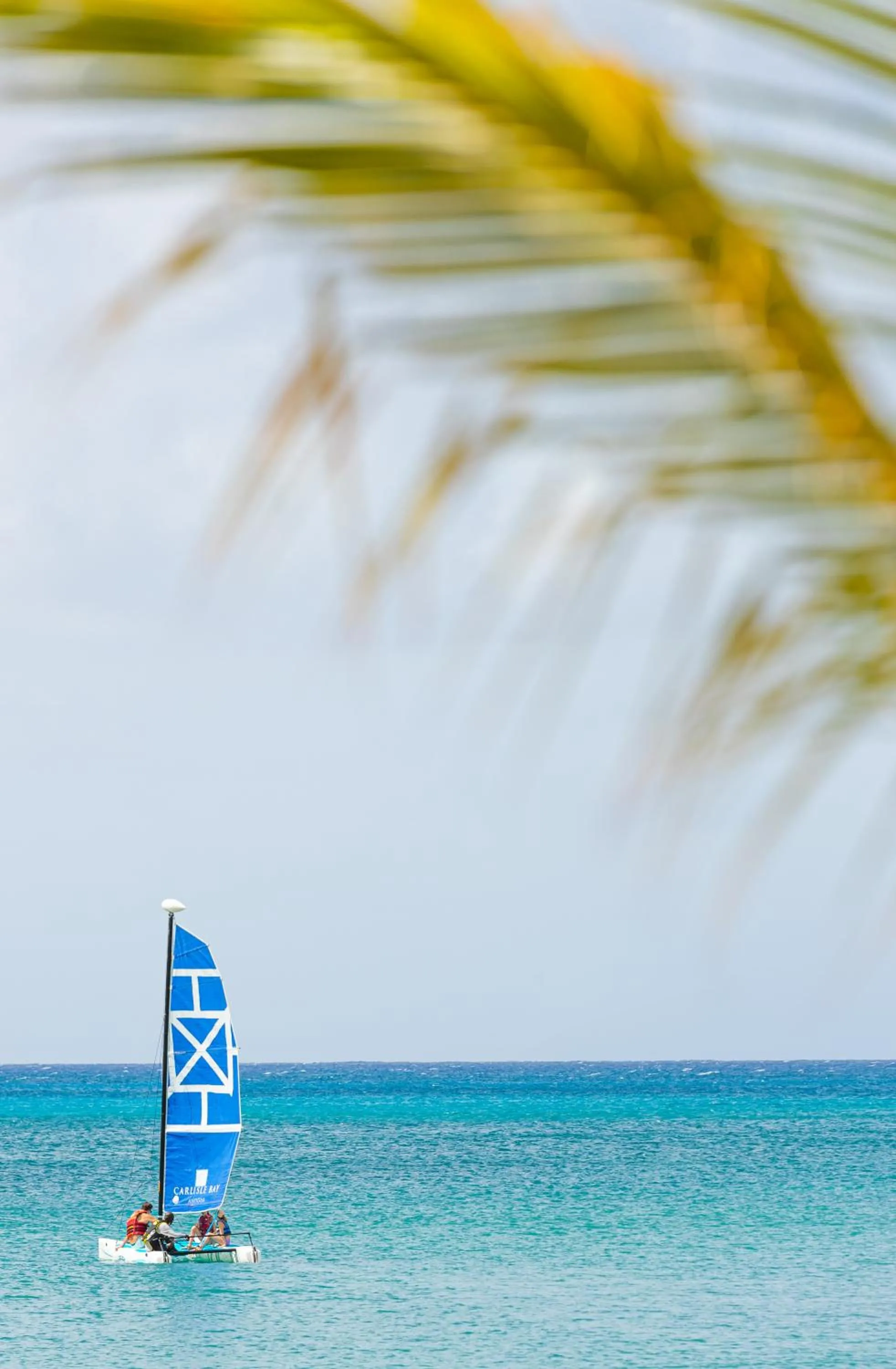 Activities in Carlisle Bay