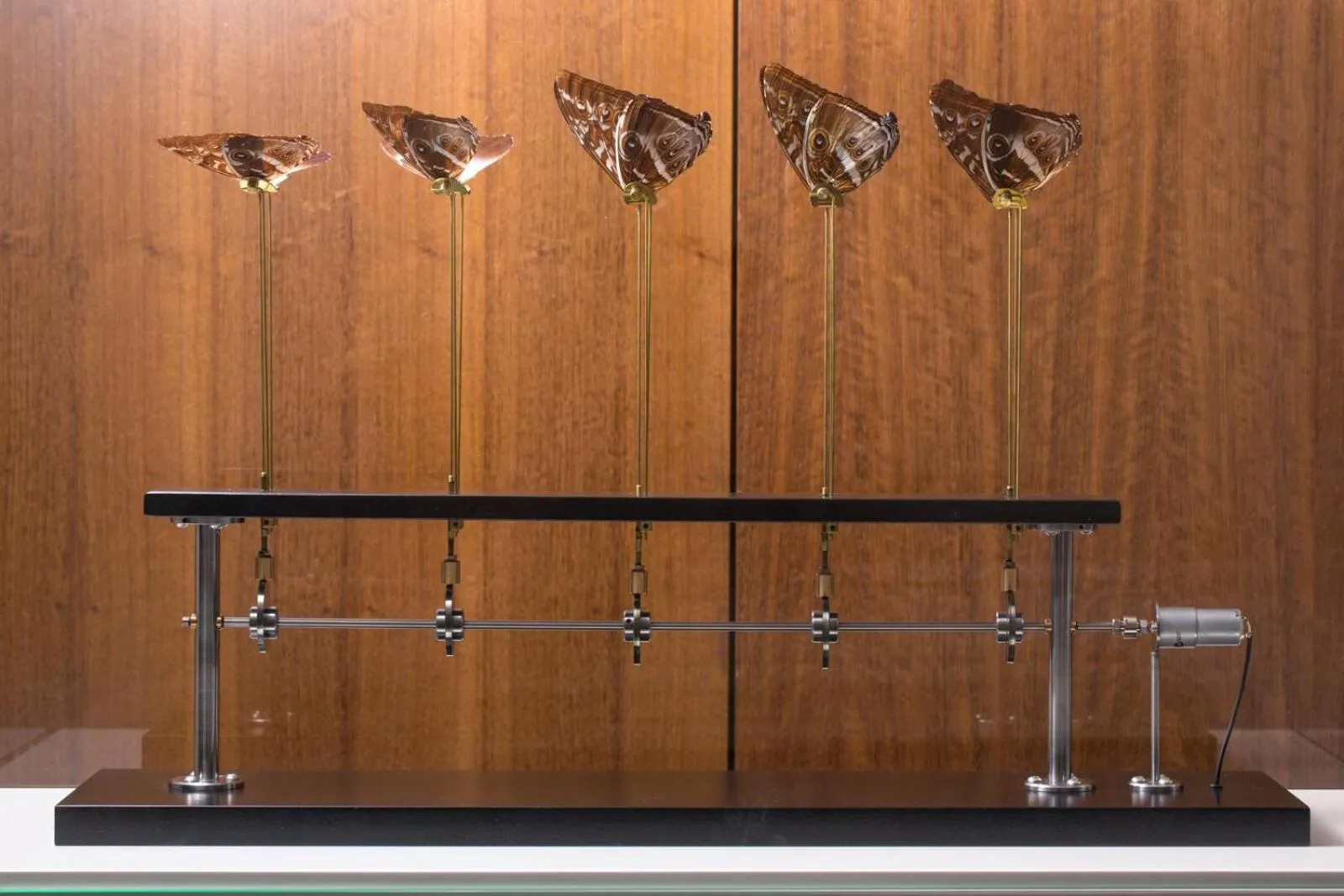 Lobby or reception in Riverview on Mount Street