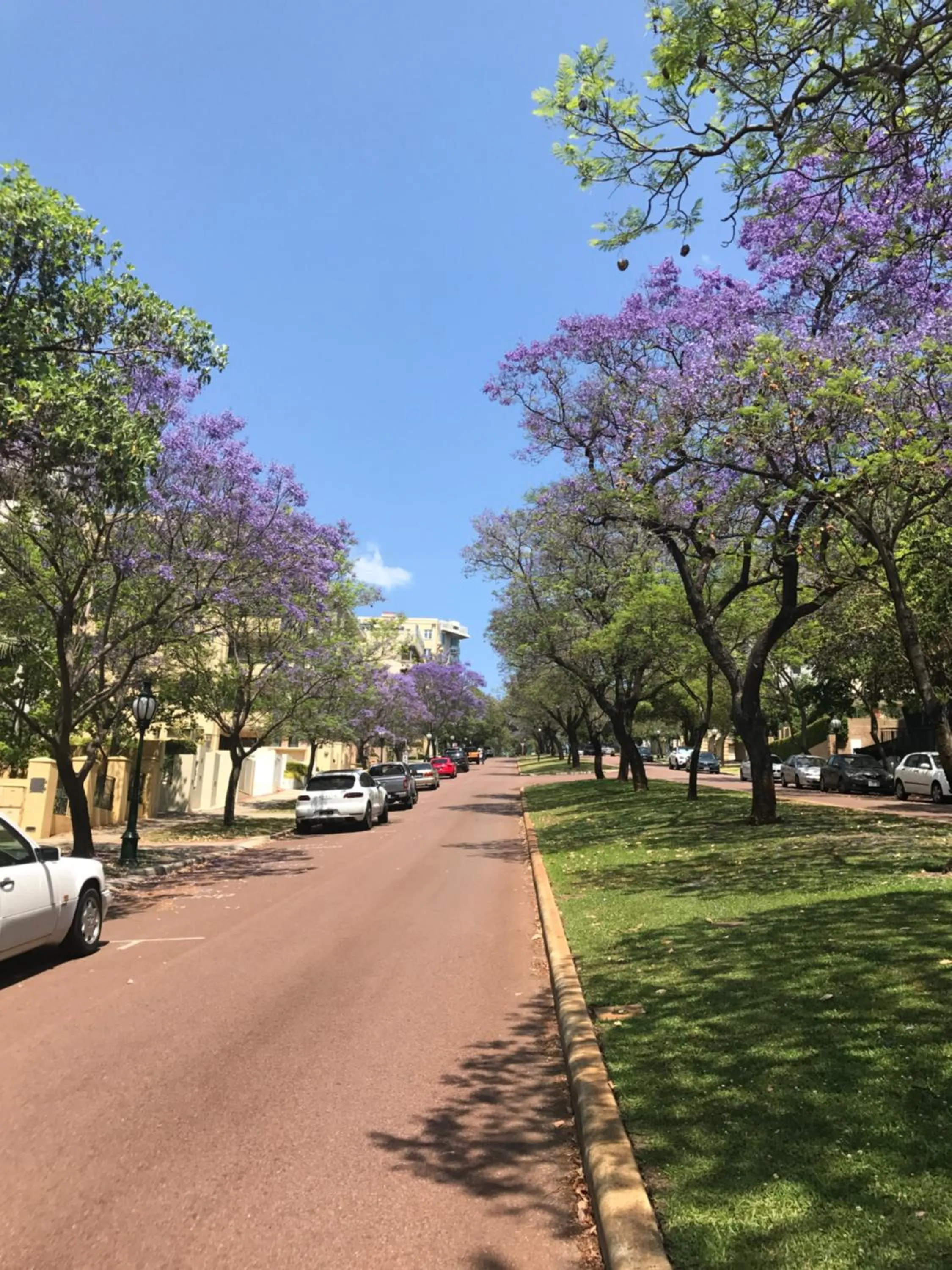 Street view in Riverview on Mount Street