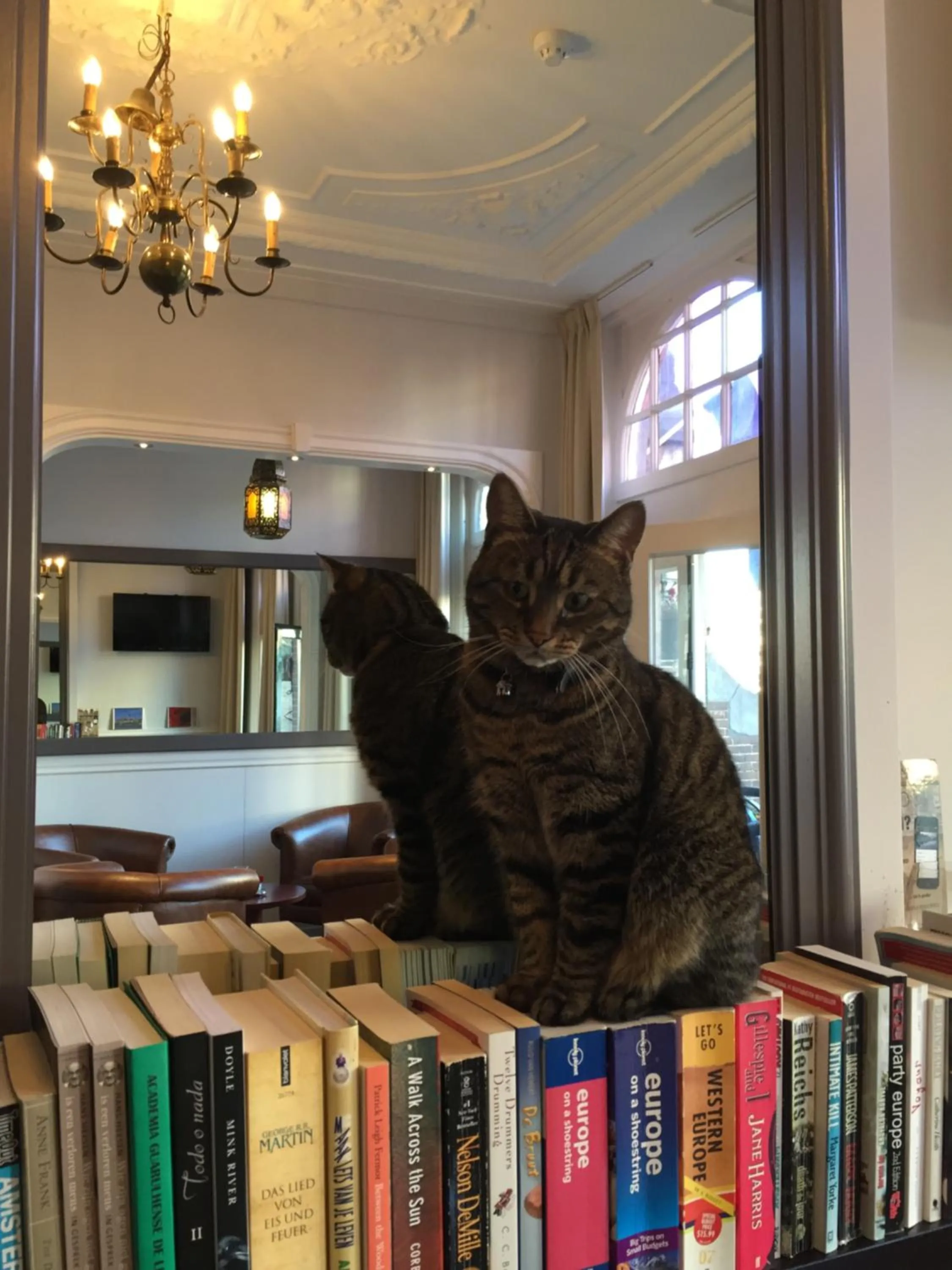 Property building in Hotel Clemens