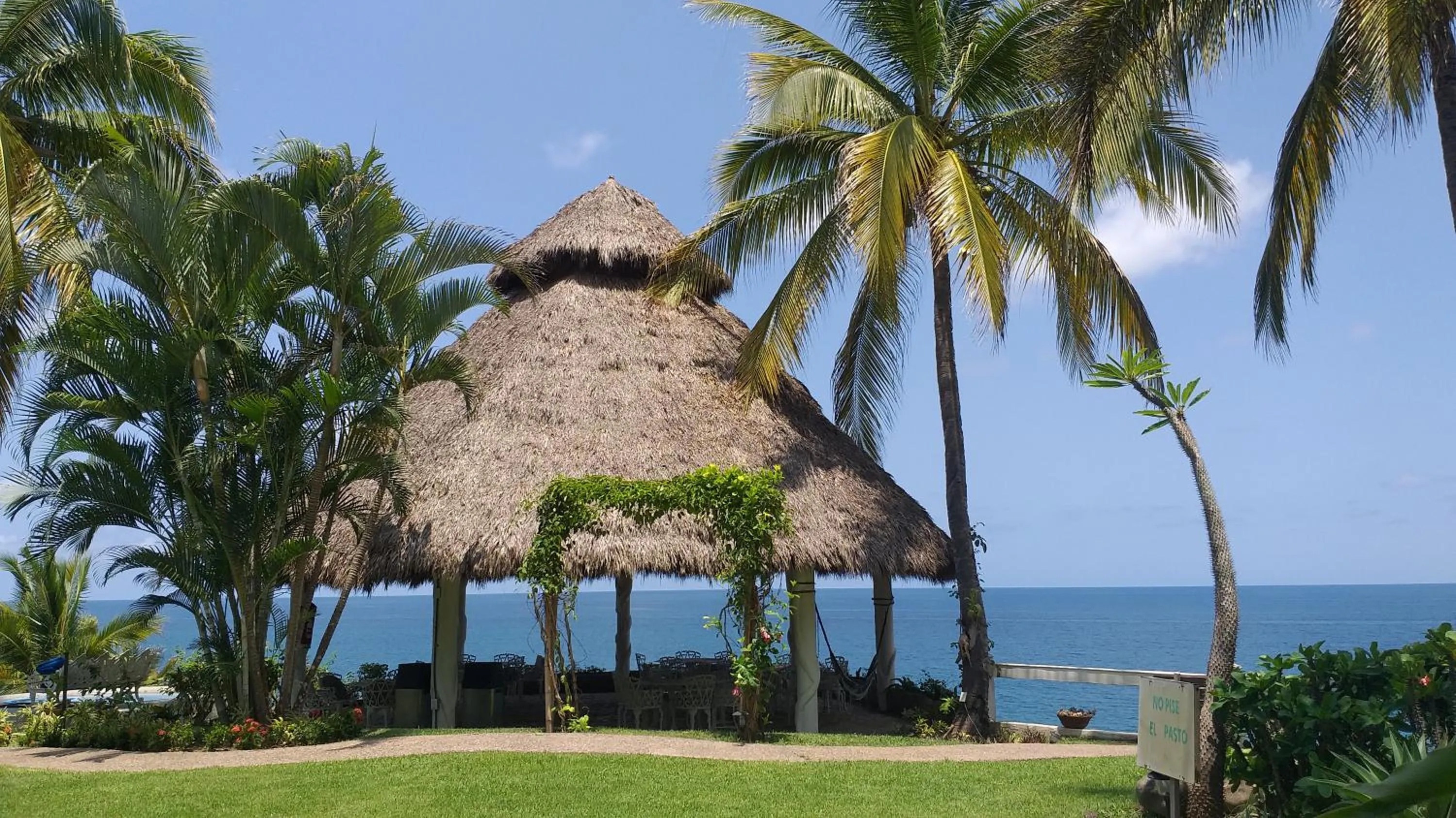 Garden in Bungalows Lydia San Pancho