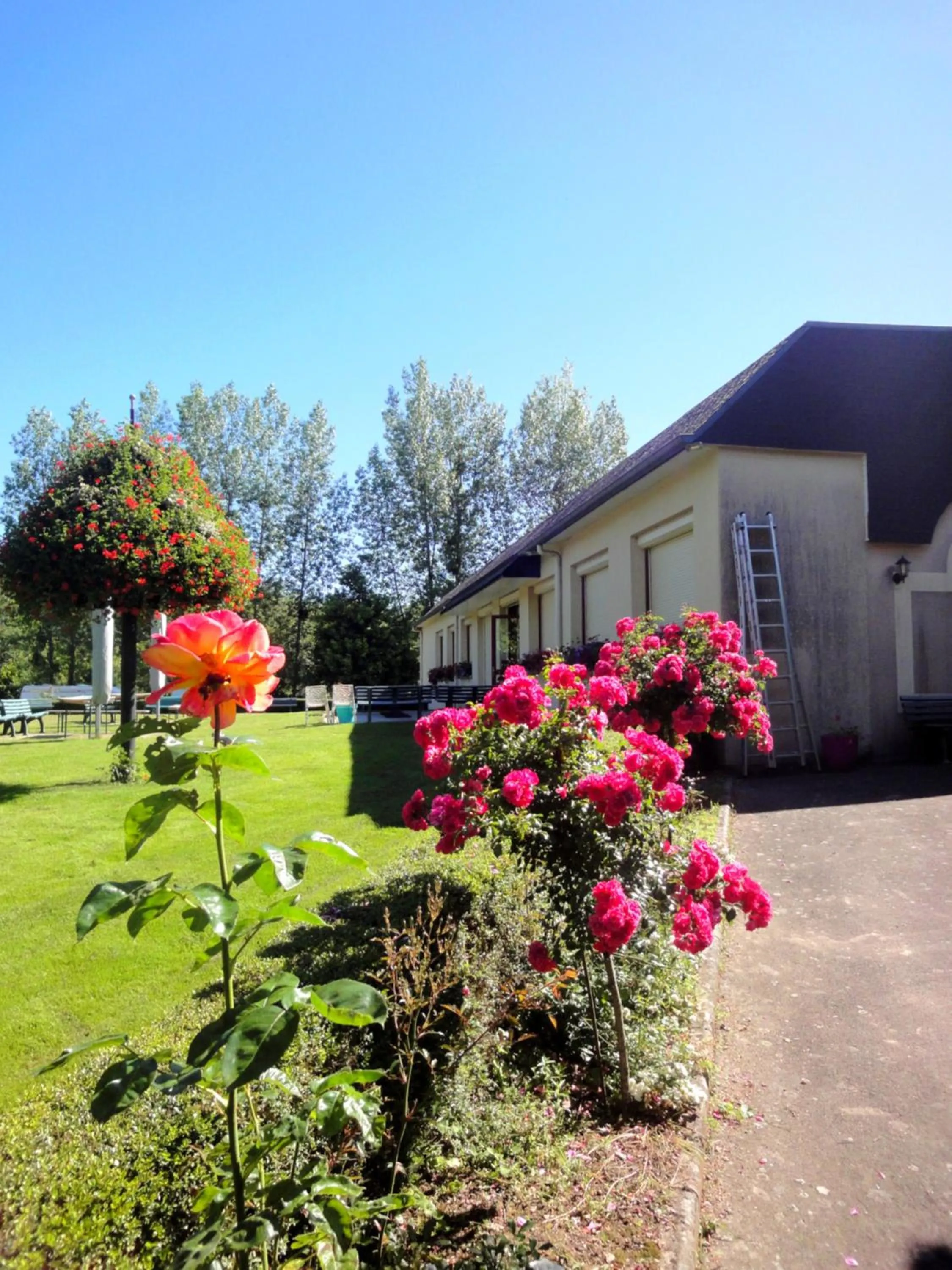 Garden in Hotel Restaurant La Grenouillère