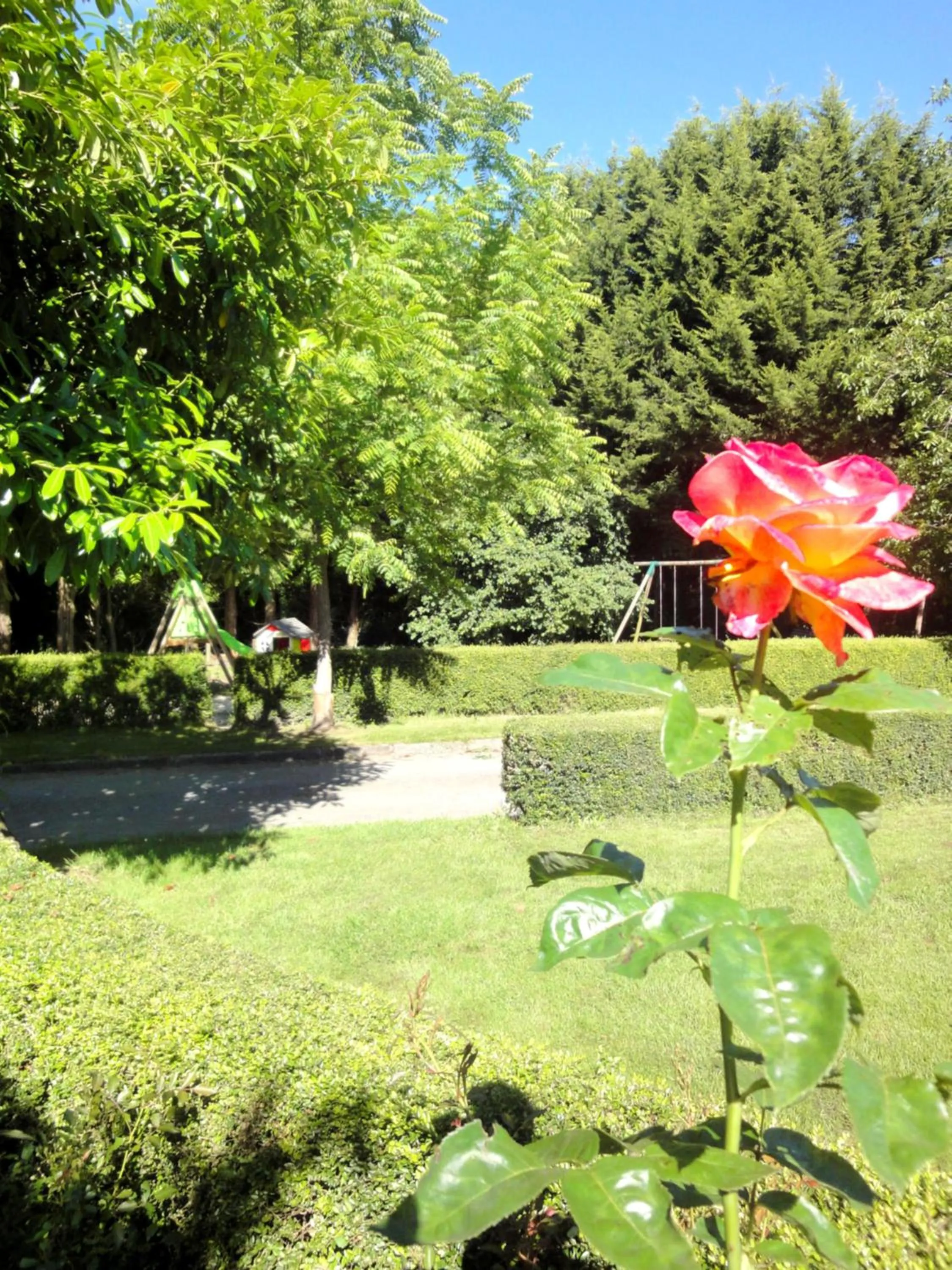 Garden in Hotel Restaurant La Grenouillère