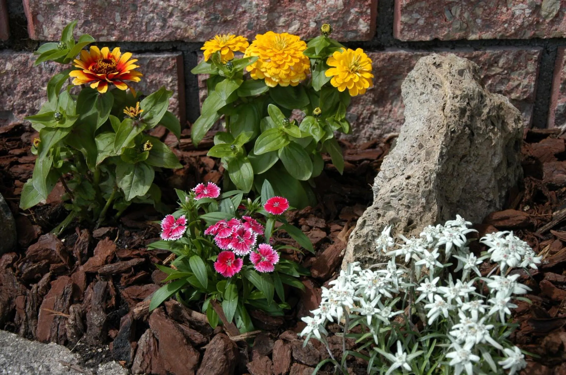 Day in Residence Weiss