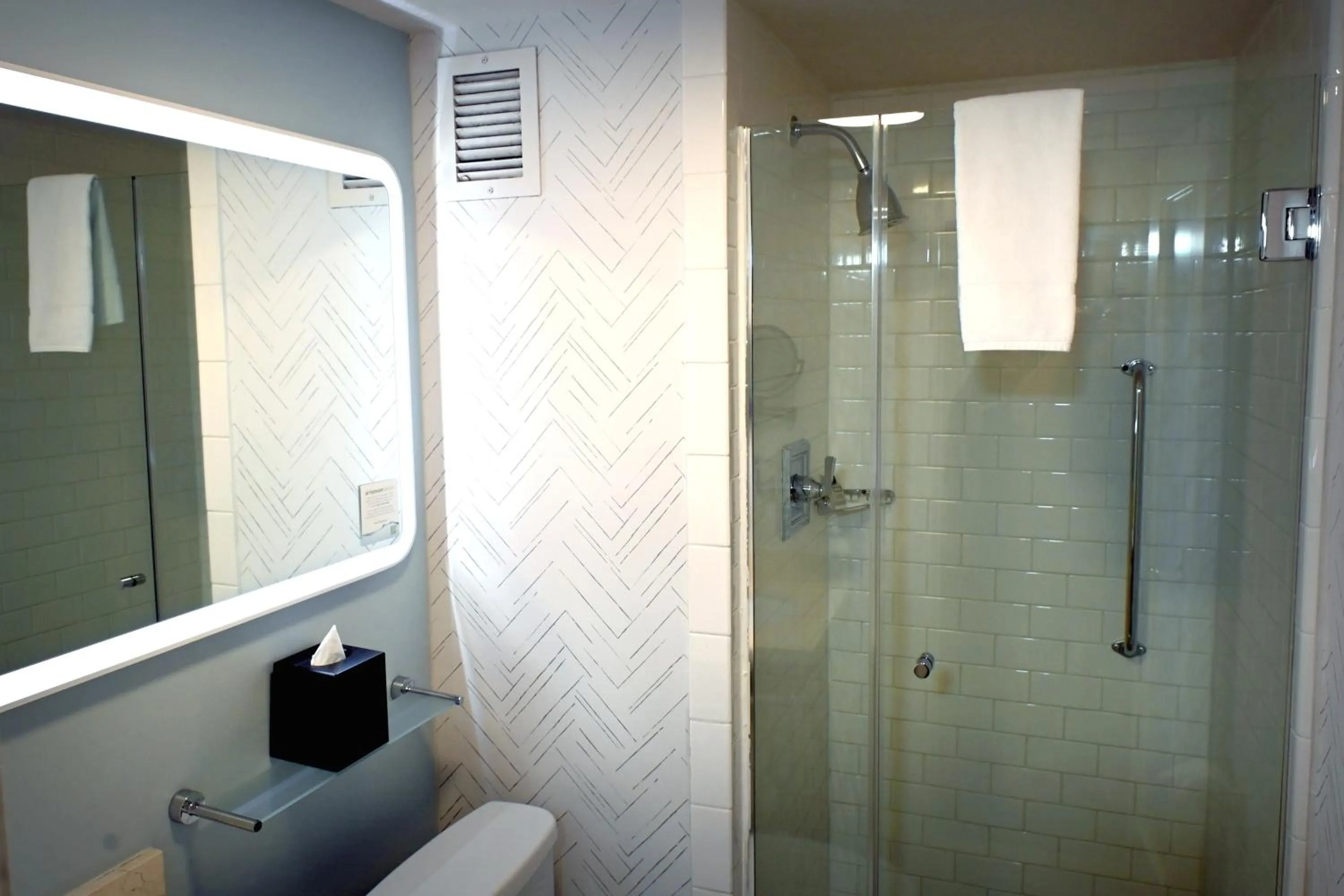 Shower in Fort Pontchartrain Detroit, a Wyndham Hotel