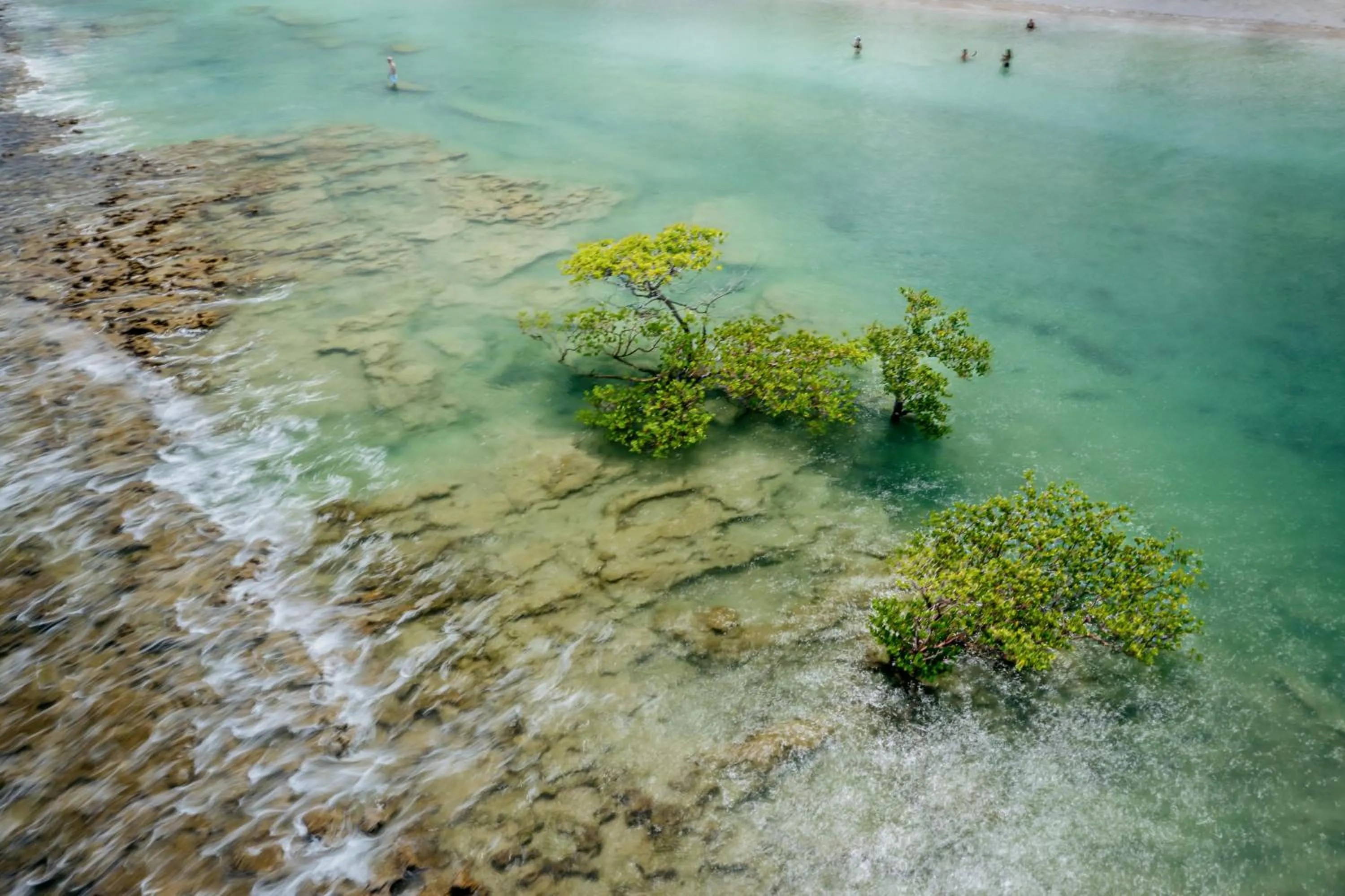 Natural landscape in Pontal dos Carneiros Beach Bungalows