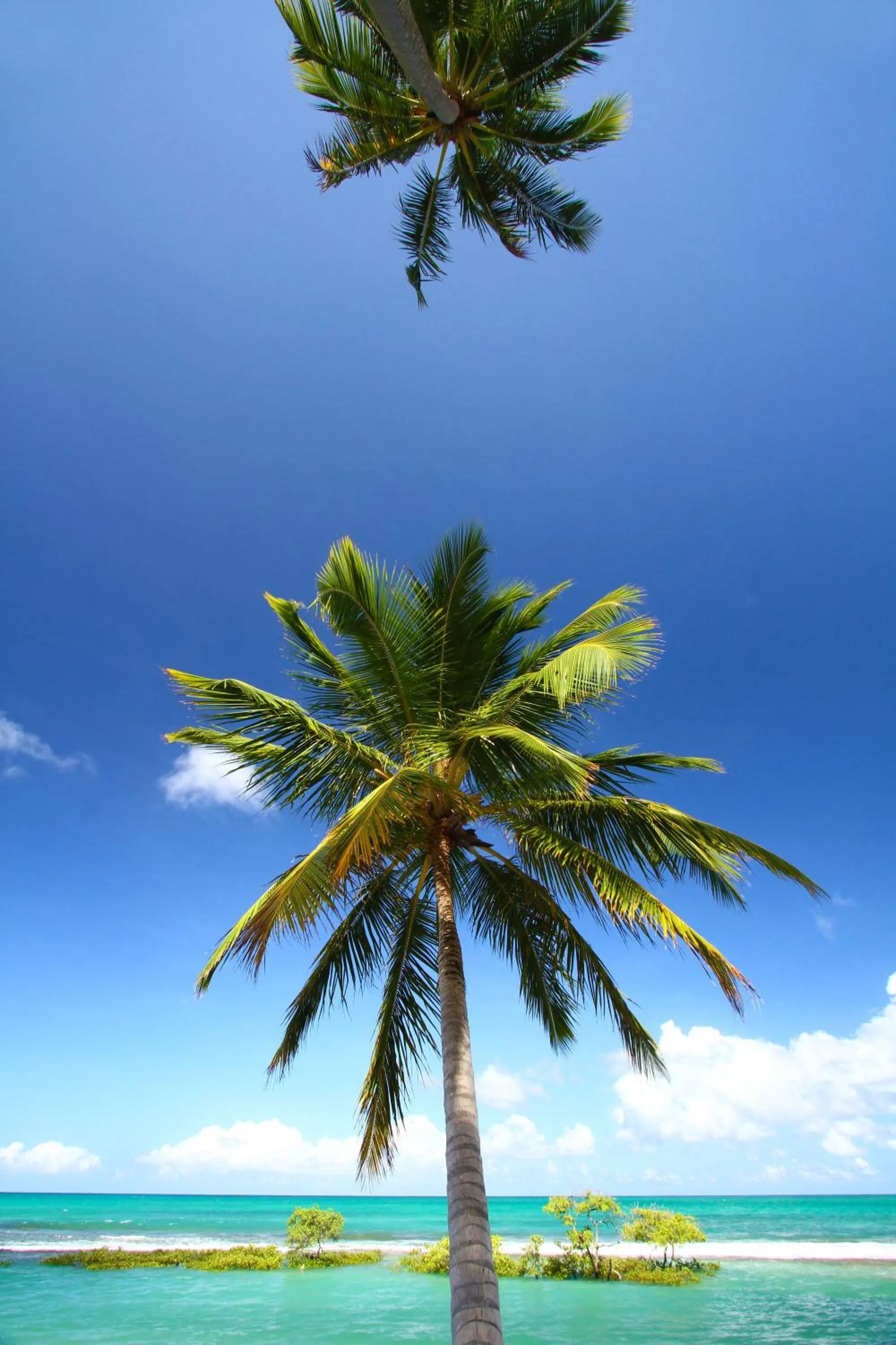 View (from property/room) in Pontal dos Carneiros Beach Bungalows
