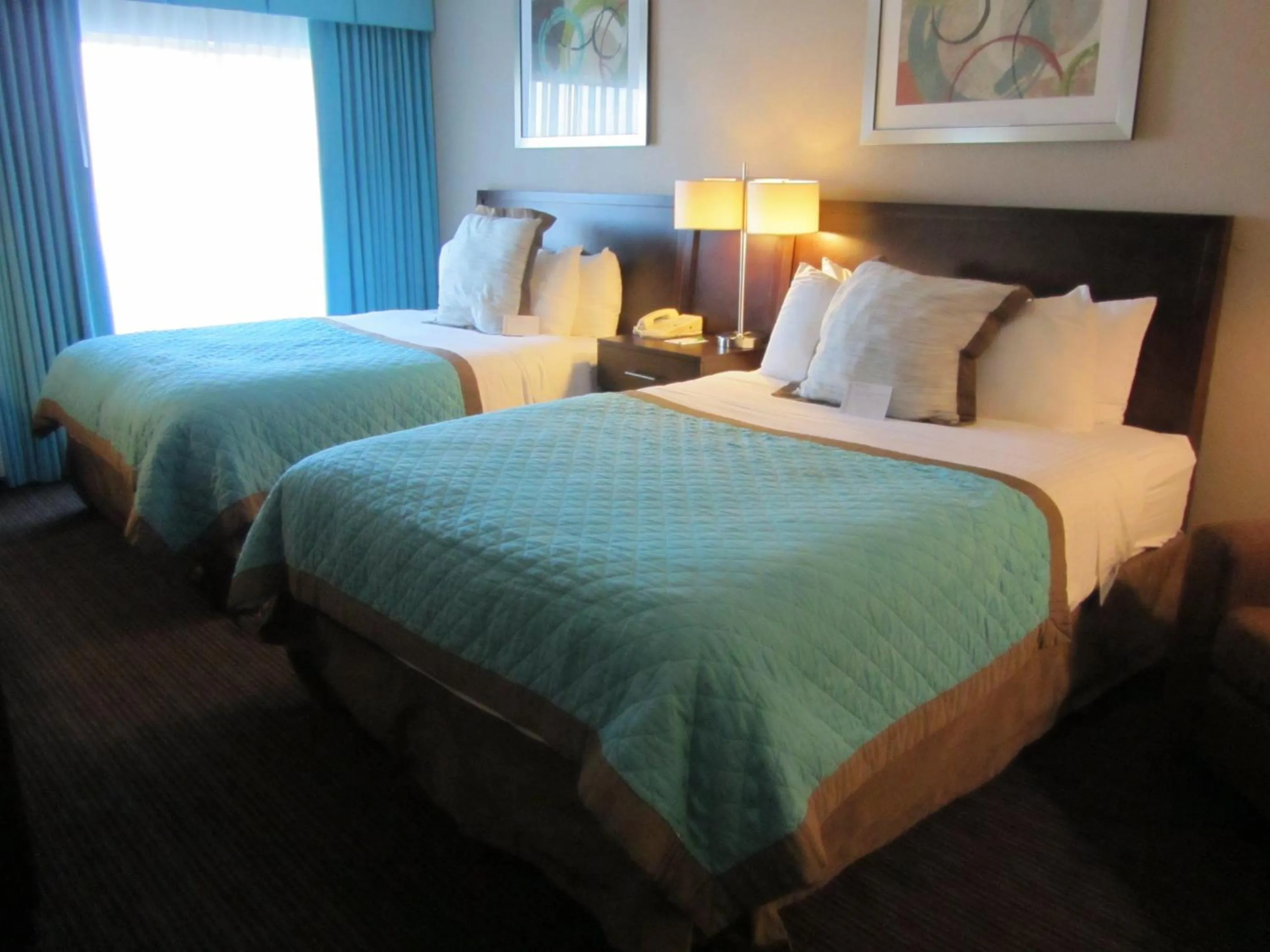 Bedroom in Wyndham Garden Midland