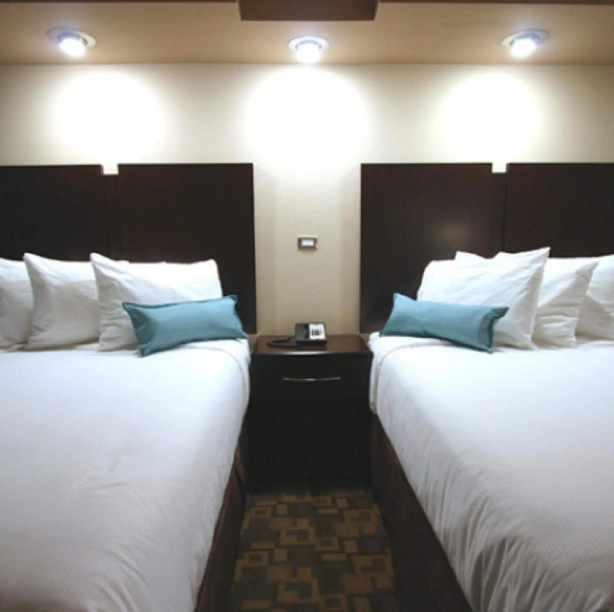 Bedroom in Wyndham Garden Midland