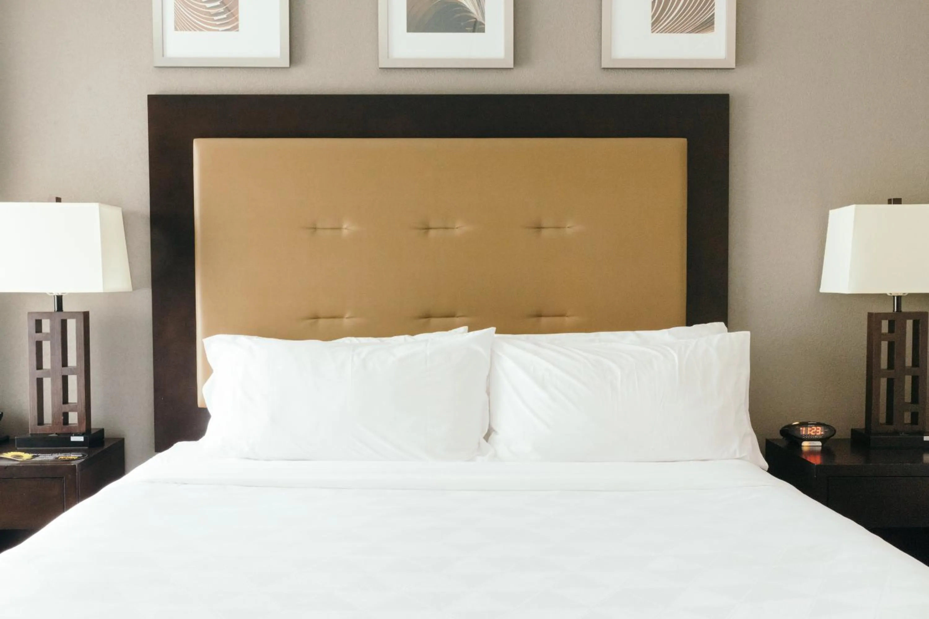 Photo of the whole room, Bed in Holiday Inn and Suites East Peoria by IHG