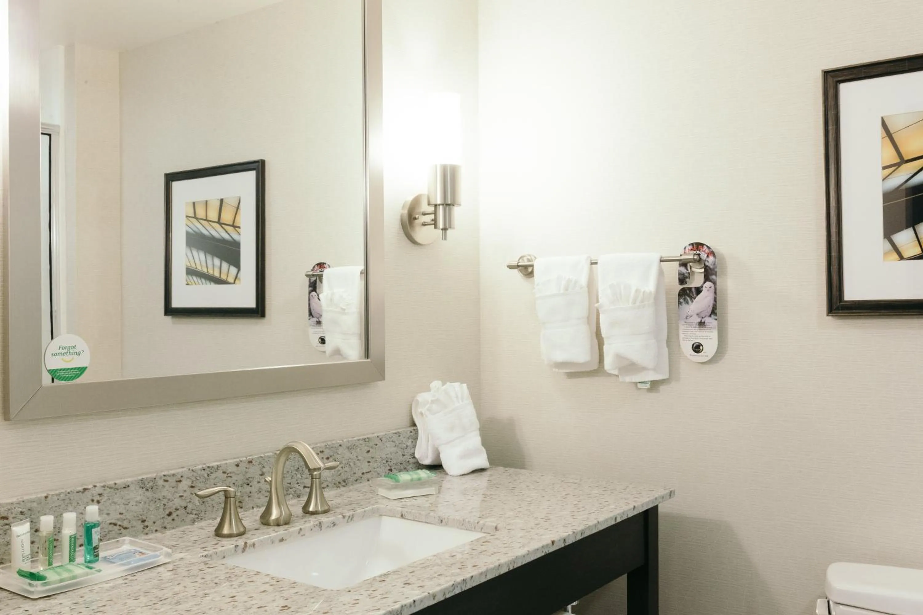 Bathroom in Holiday Inn and Suites East Peoria by IHG