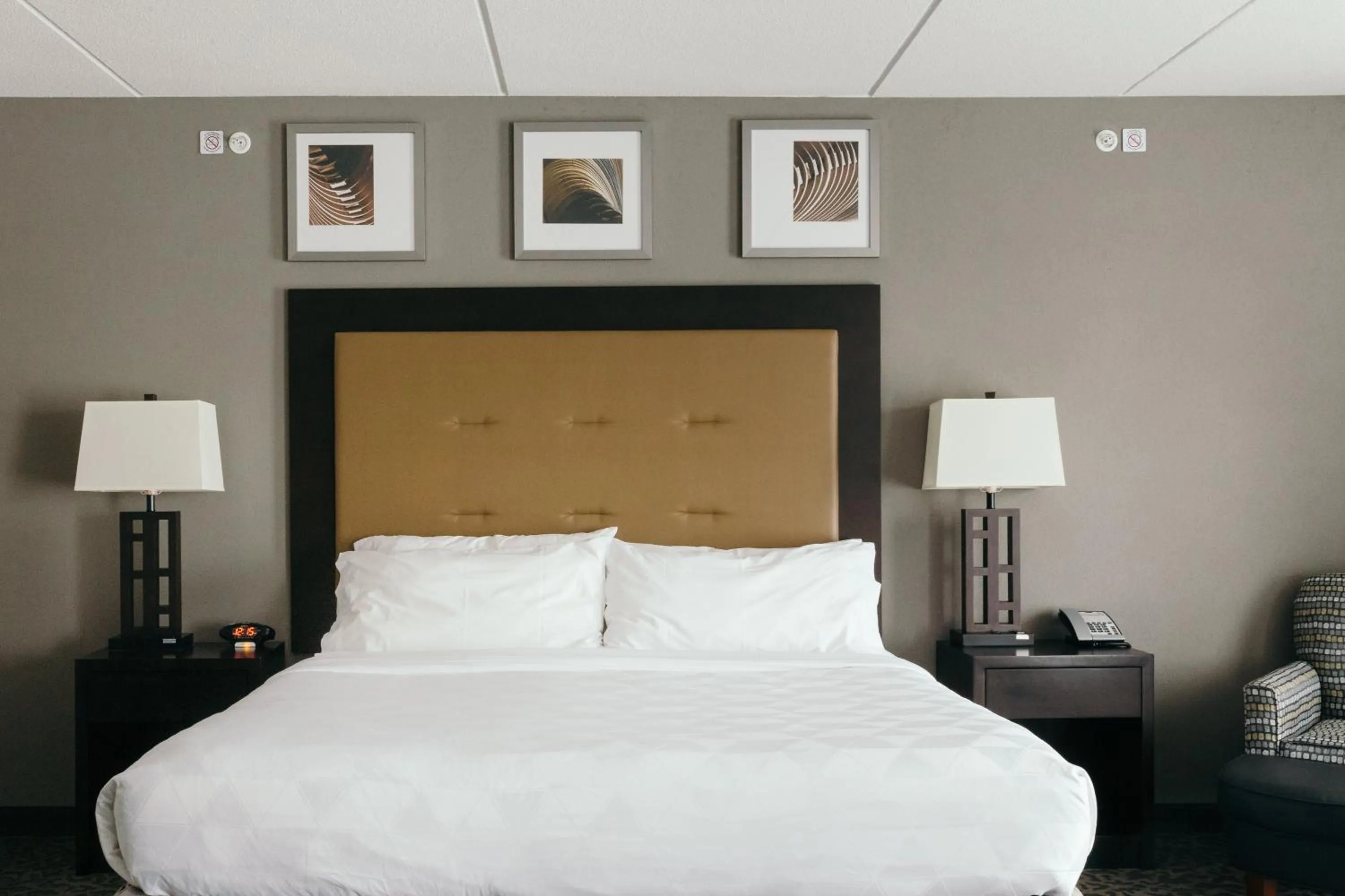 Photo of the whole room, Bed in Holiday Inn and Suites East Peoria by IHG