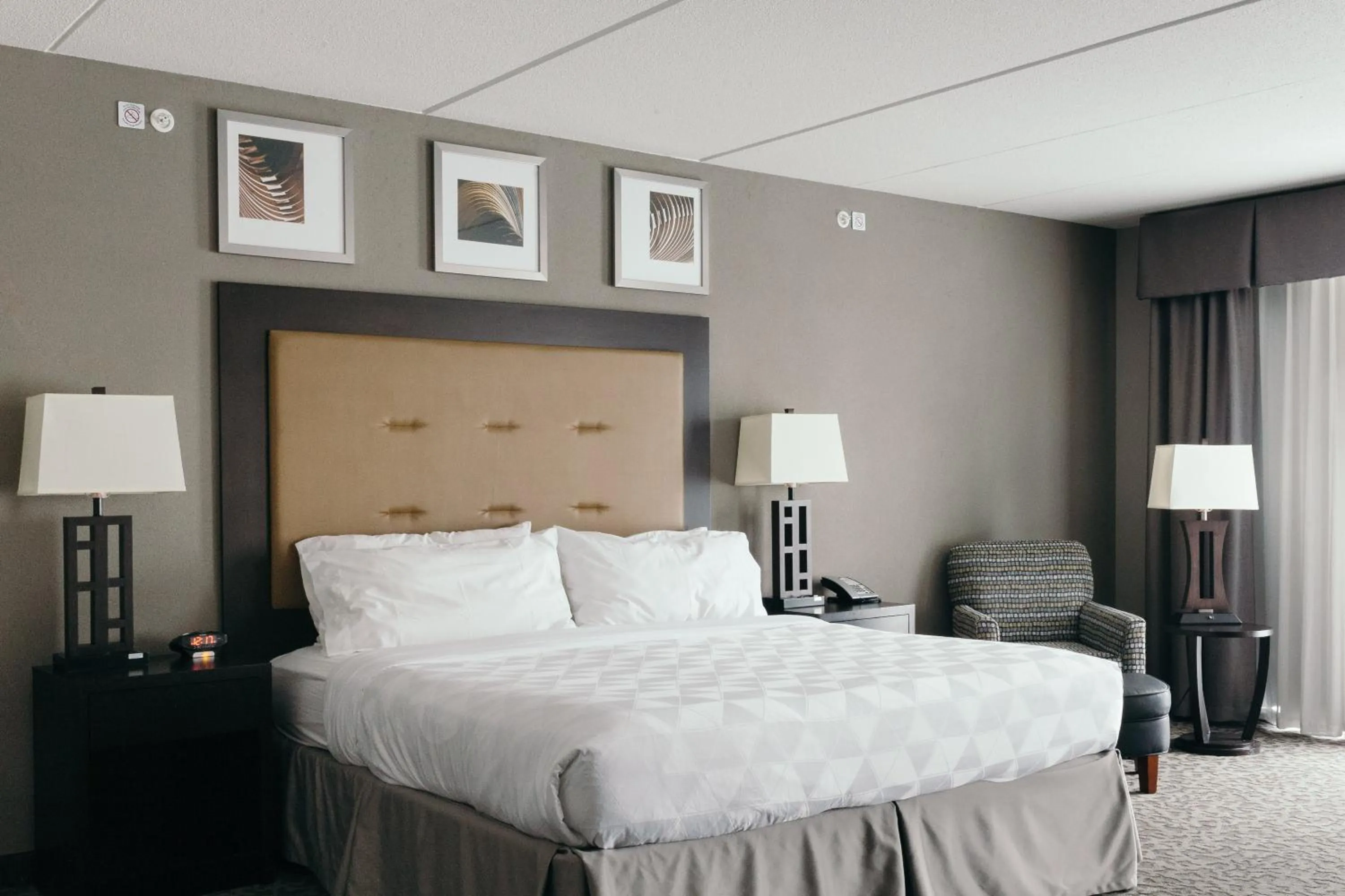 Photo of the whole room, Bed in Holiday Inn and Suites East Peoria by IHG