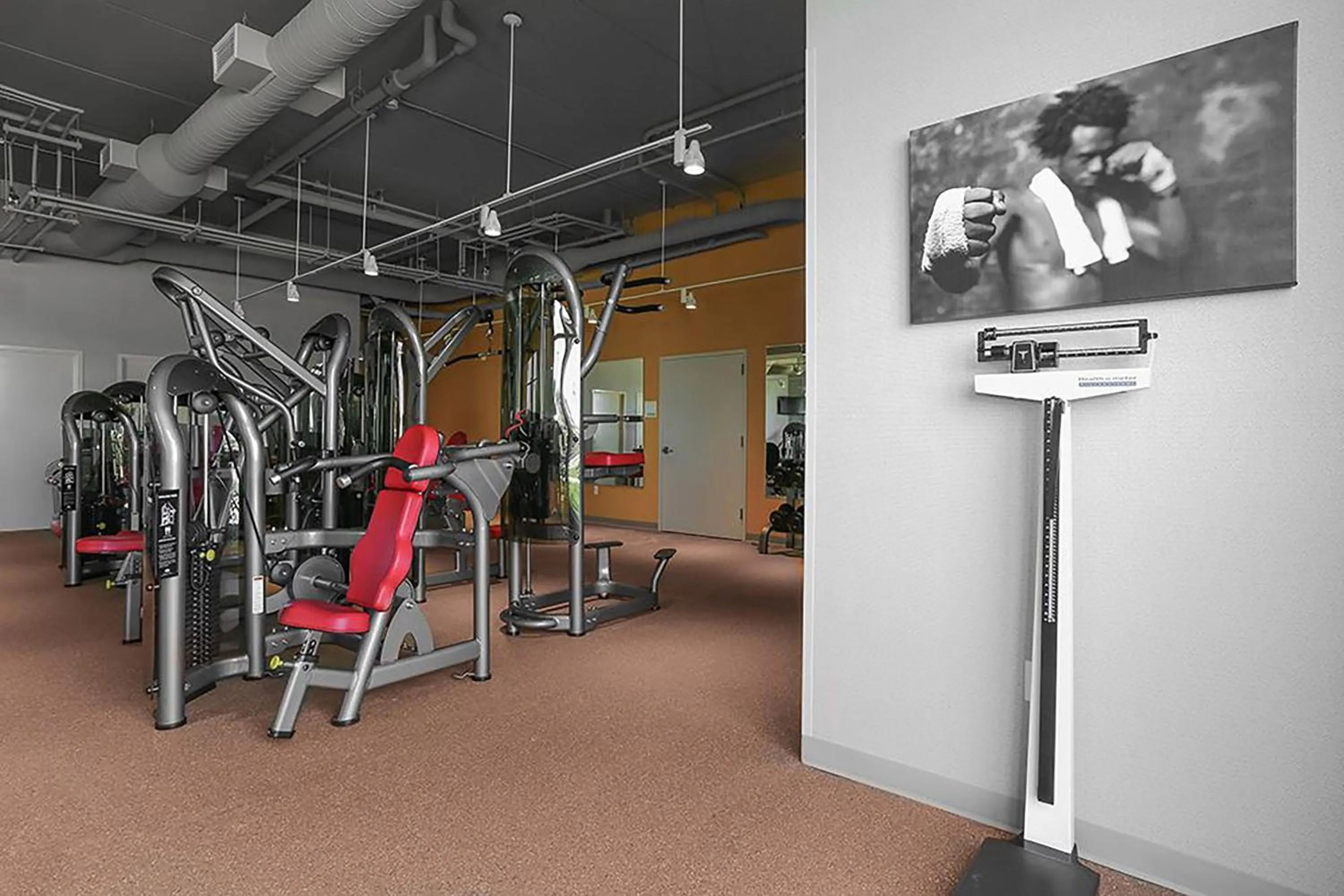 Fitness centre/facilities in Holiday Inn and Suites East Peoria by IHG