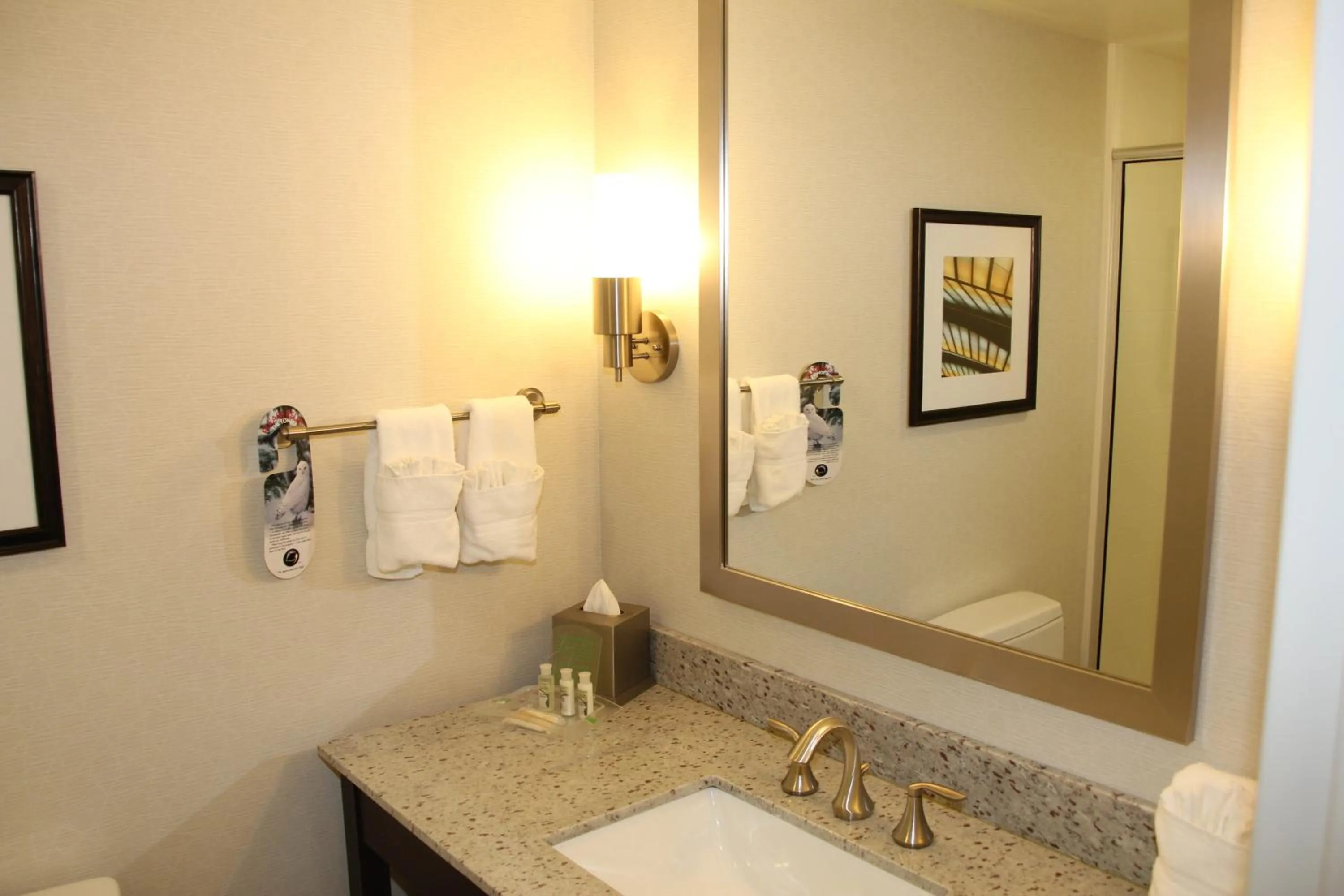 Bathroom in Holiday Inn and Suites East Peoria by IHG