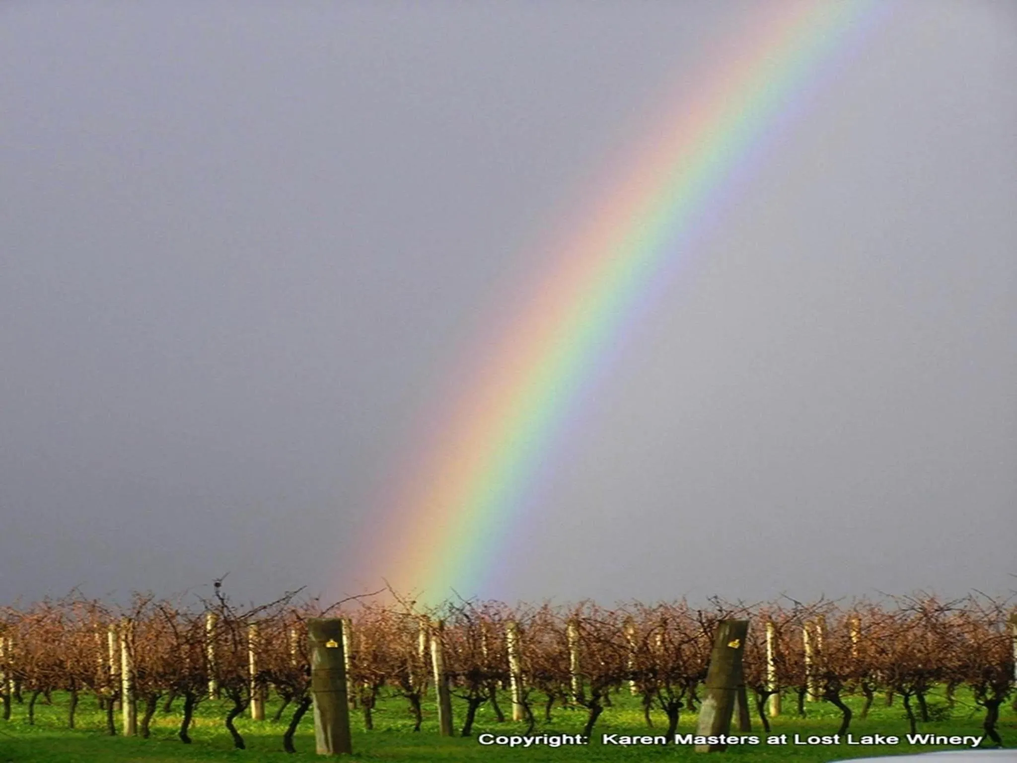 Area and facilities in The Pemberton Hotel