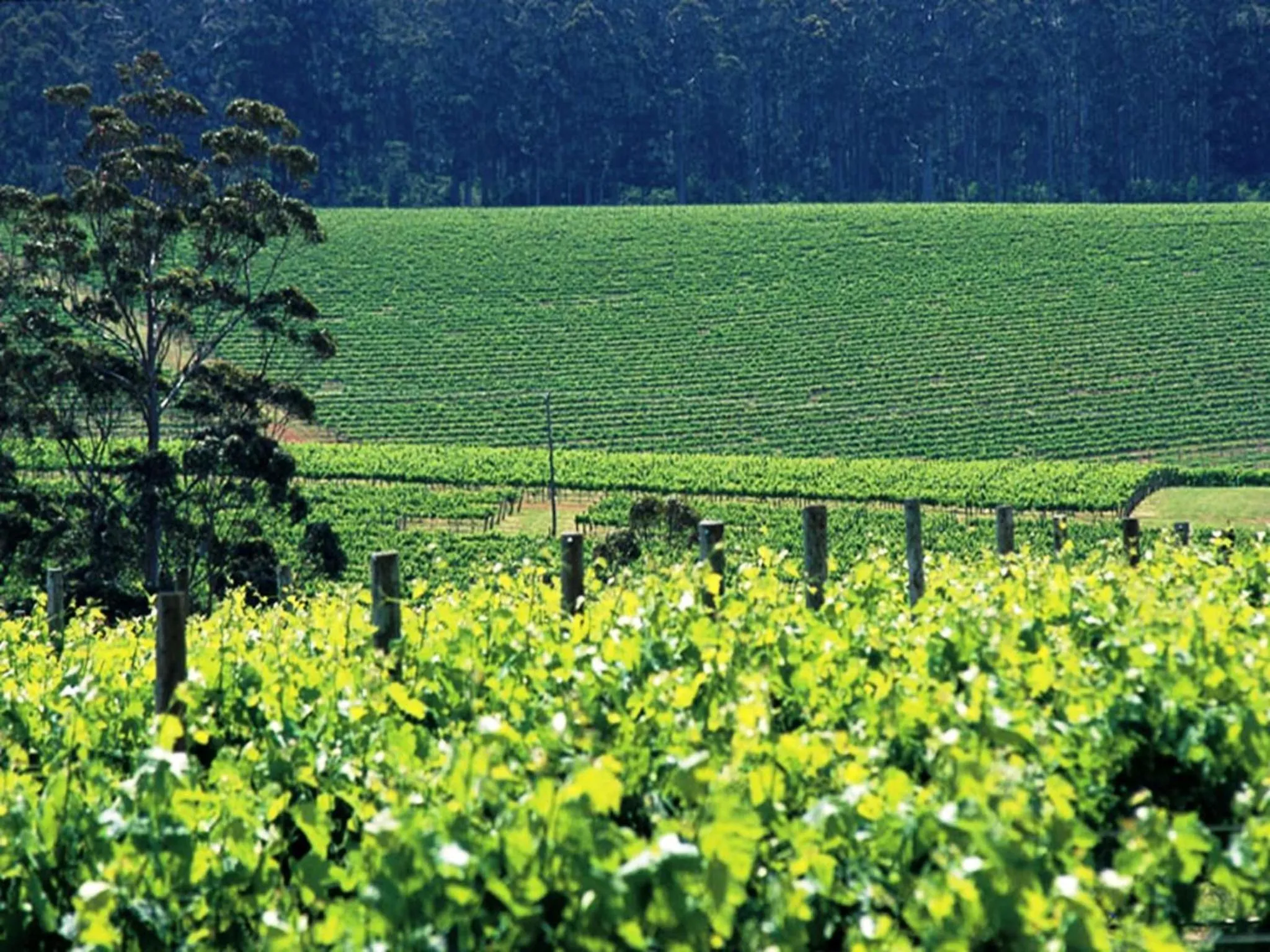 Area and facilities in The Pemberton Hotel