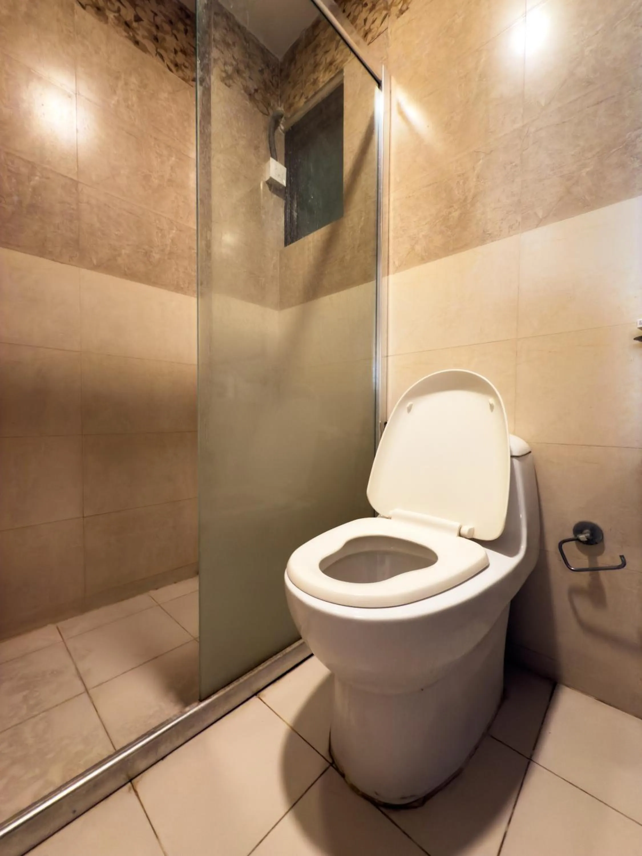 Toilet in Hotel Royal Palm - A Budget Hotel in Udaipur