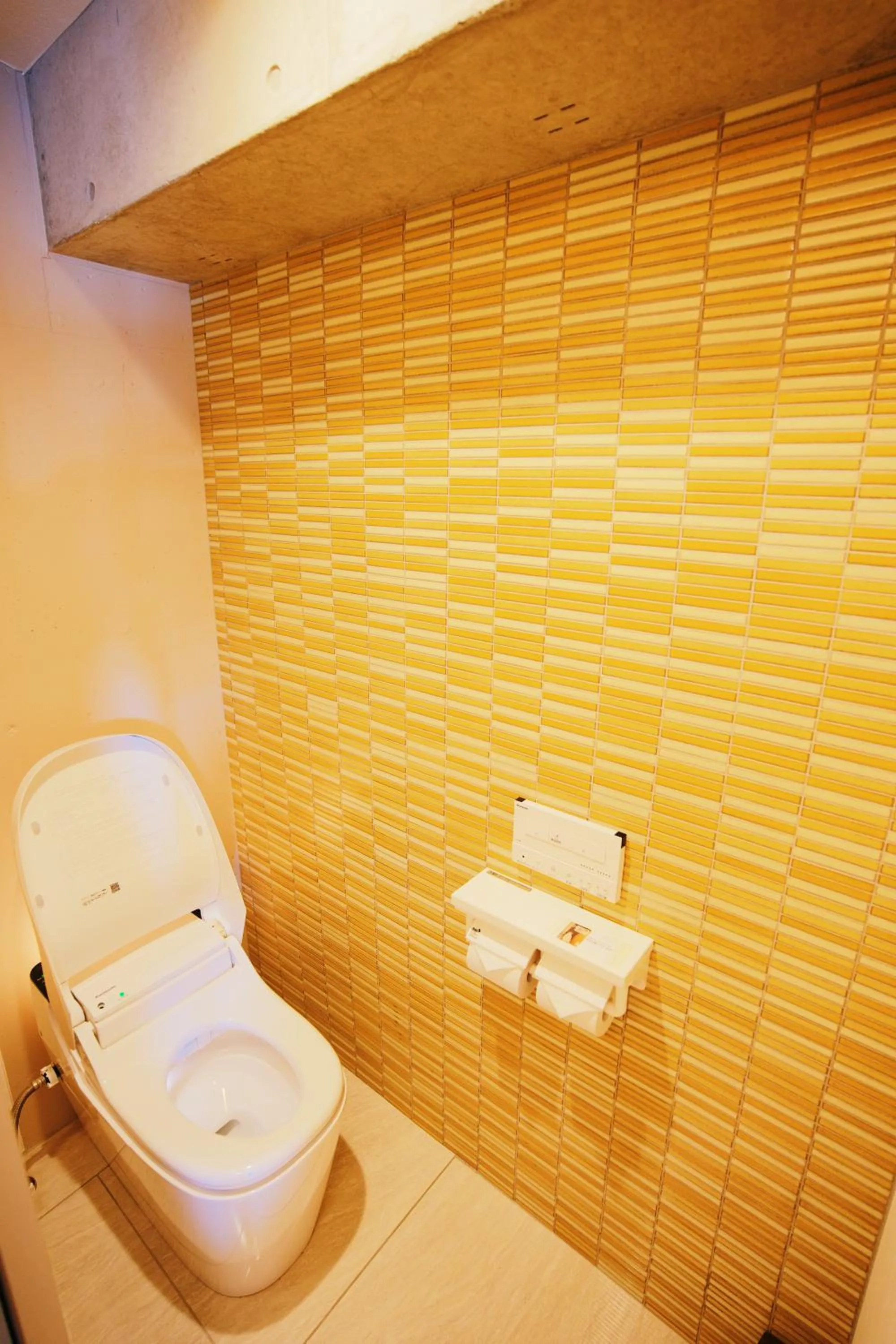 Toilet in HOTEL Viviana