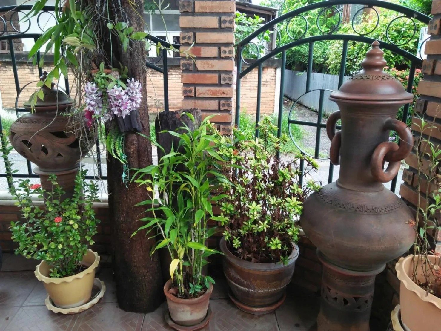 Villa Oranje Chiang Mai