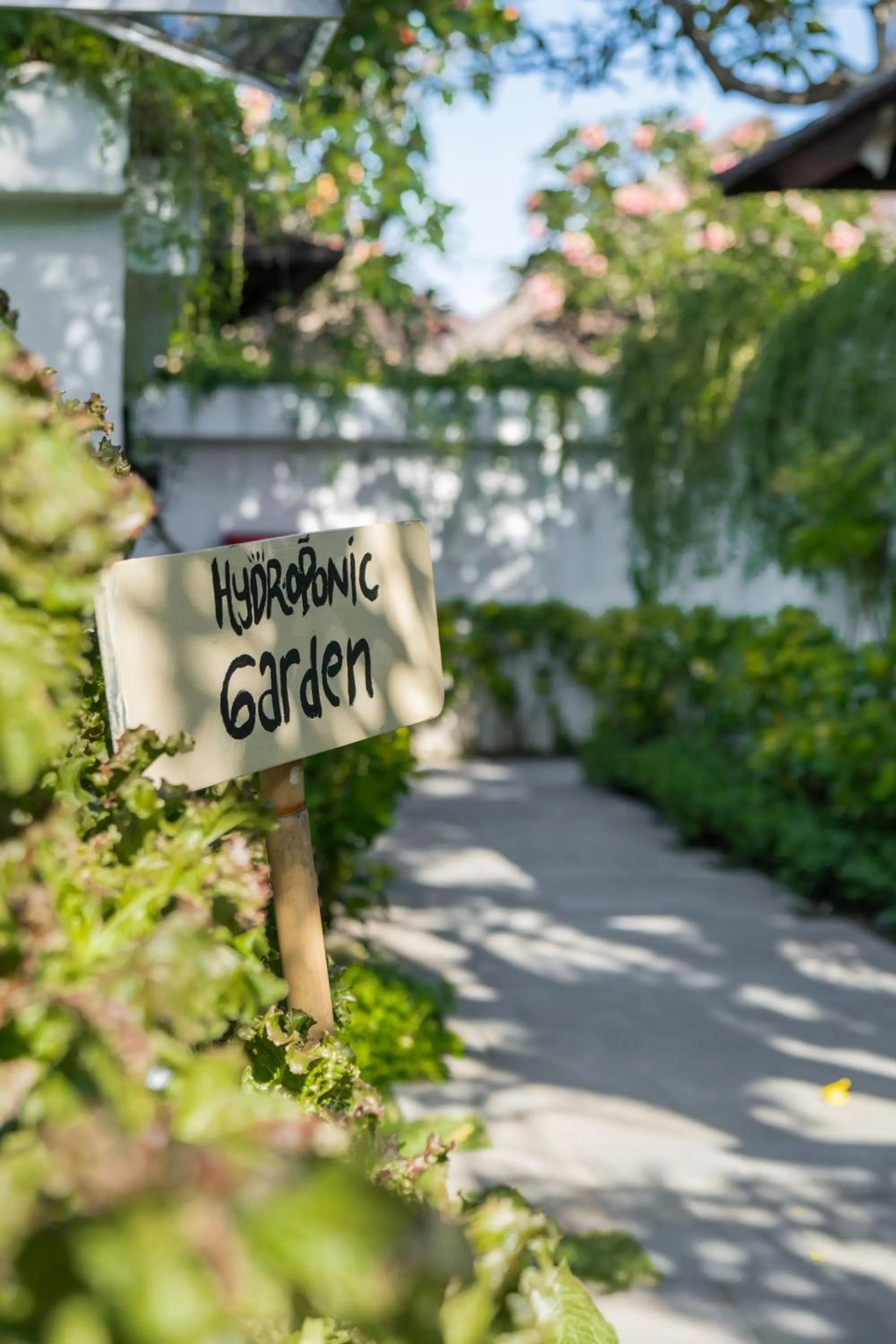 Activities in Lembongan Beach Club & Resort