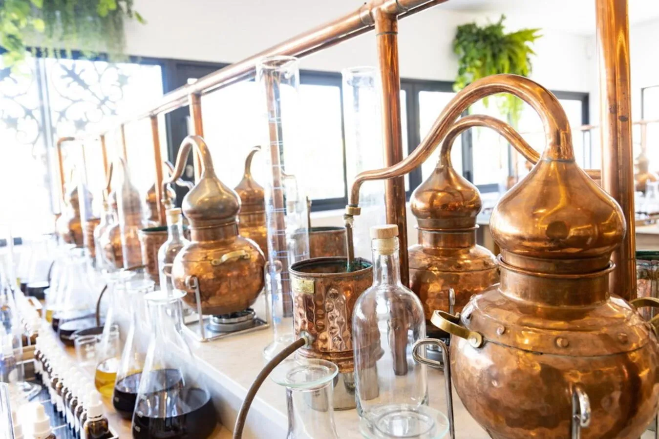 Activities in Protea Hotel by Marriott Mossel Bay