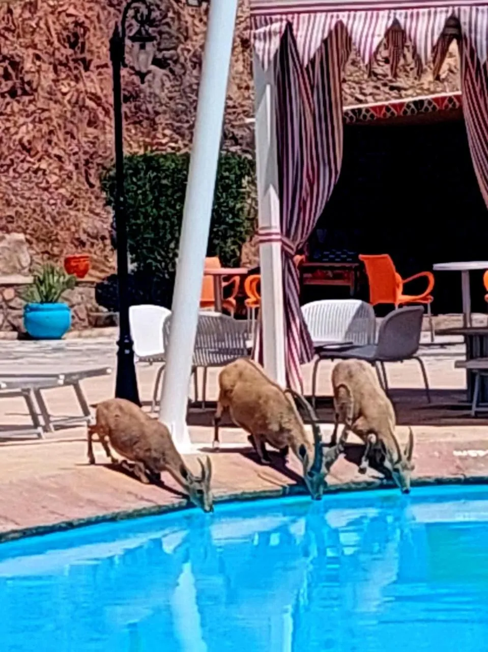 Taba Sands Hotel & Casino