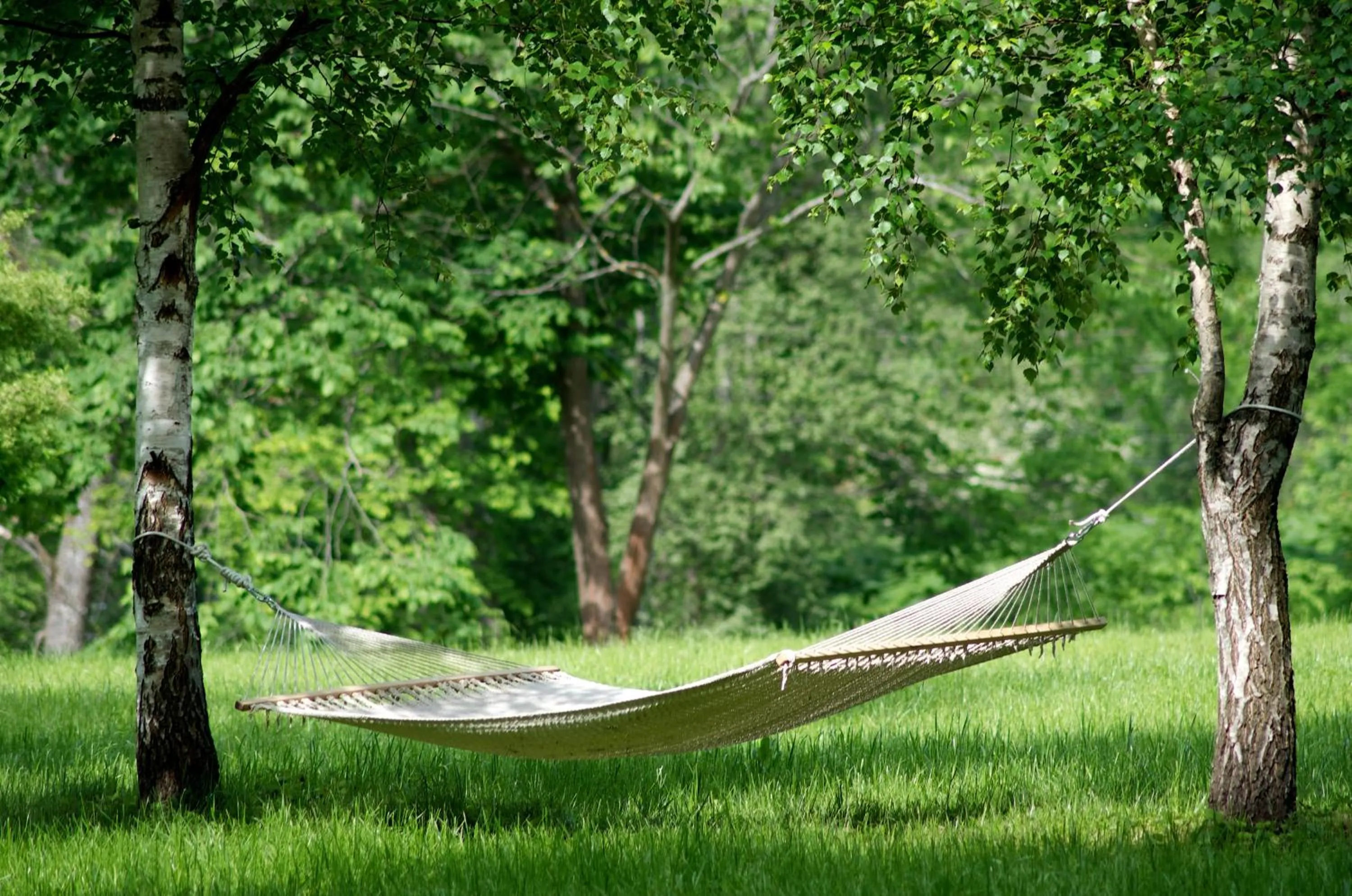 Garden in Liepupe Manor