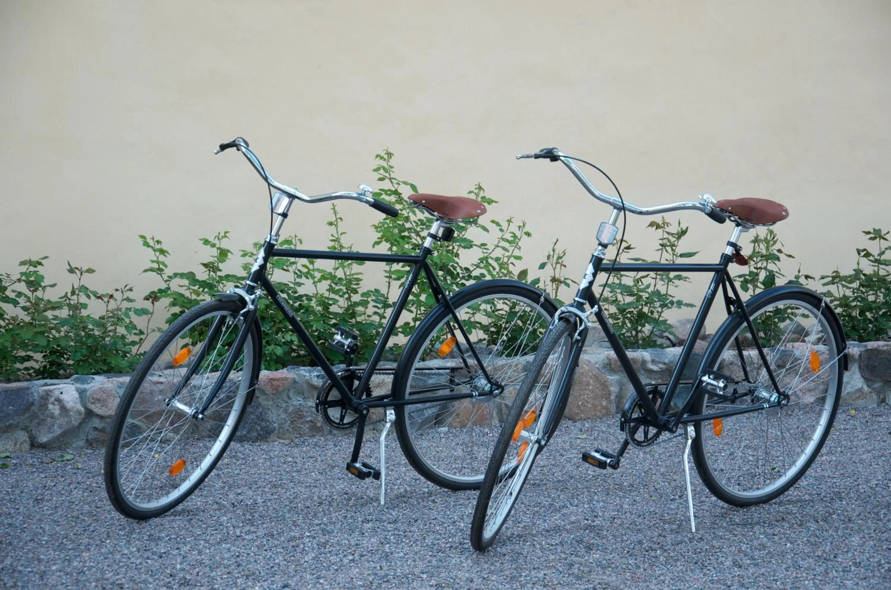 Cycling in Liepupe Manor