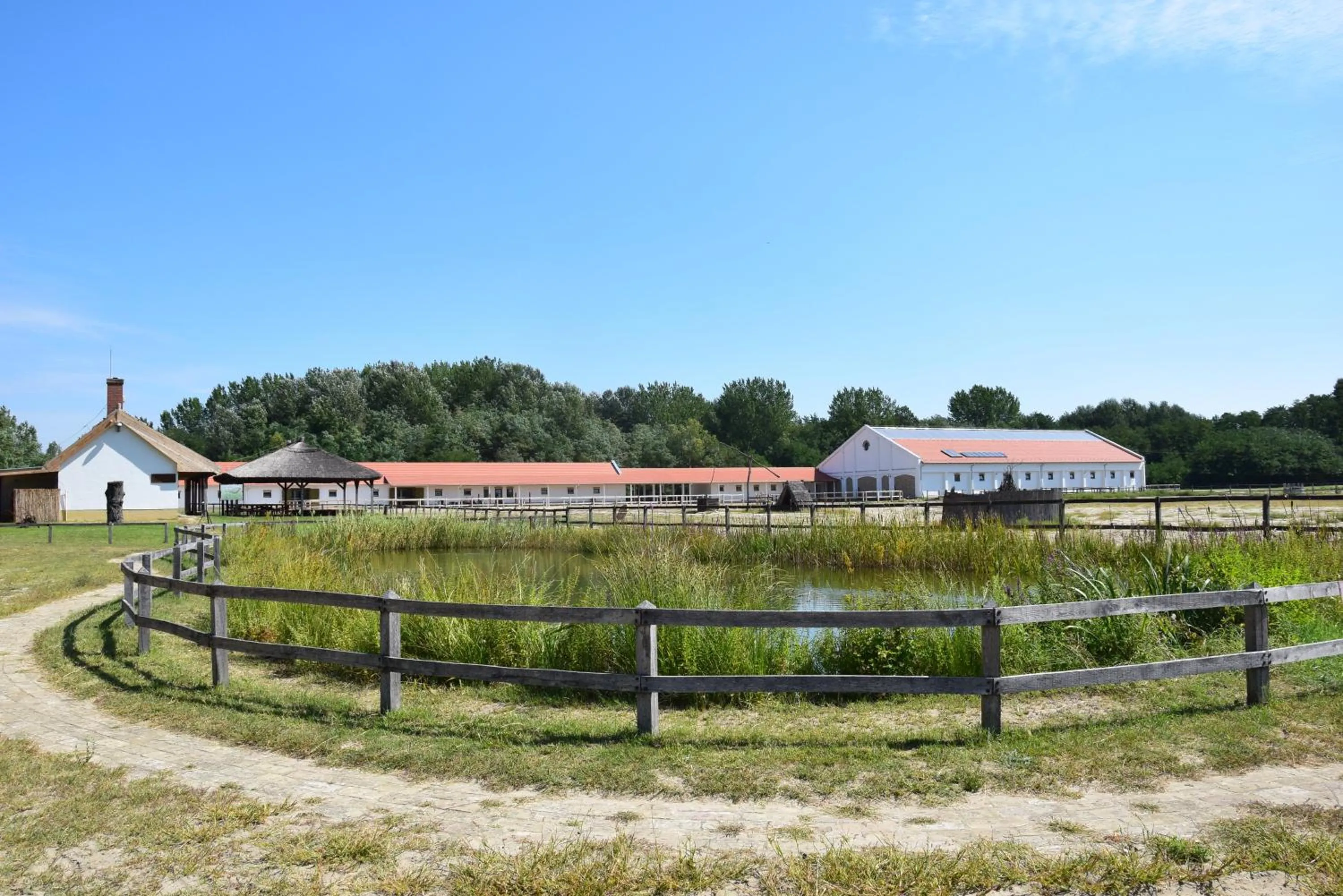 Horse-riding in Geréby Kúria Hotel és Lovasudvar
