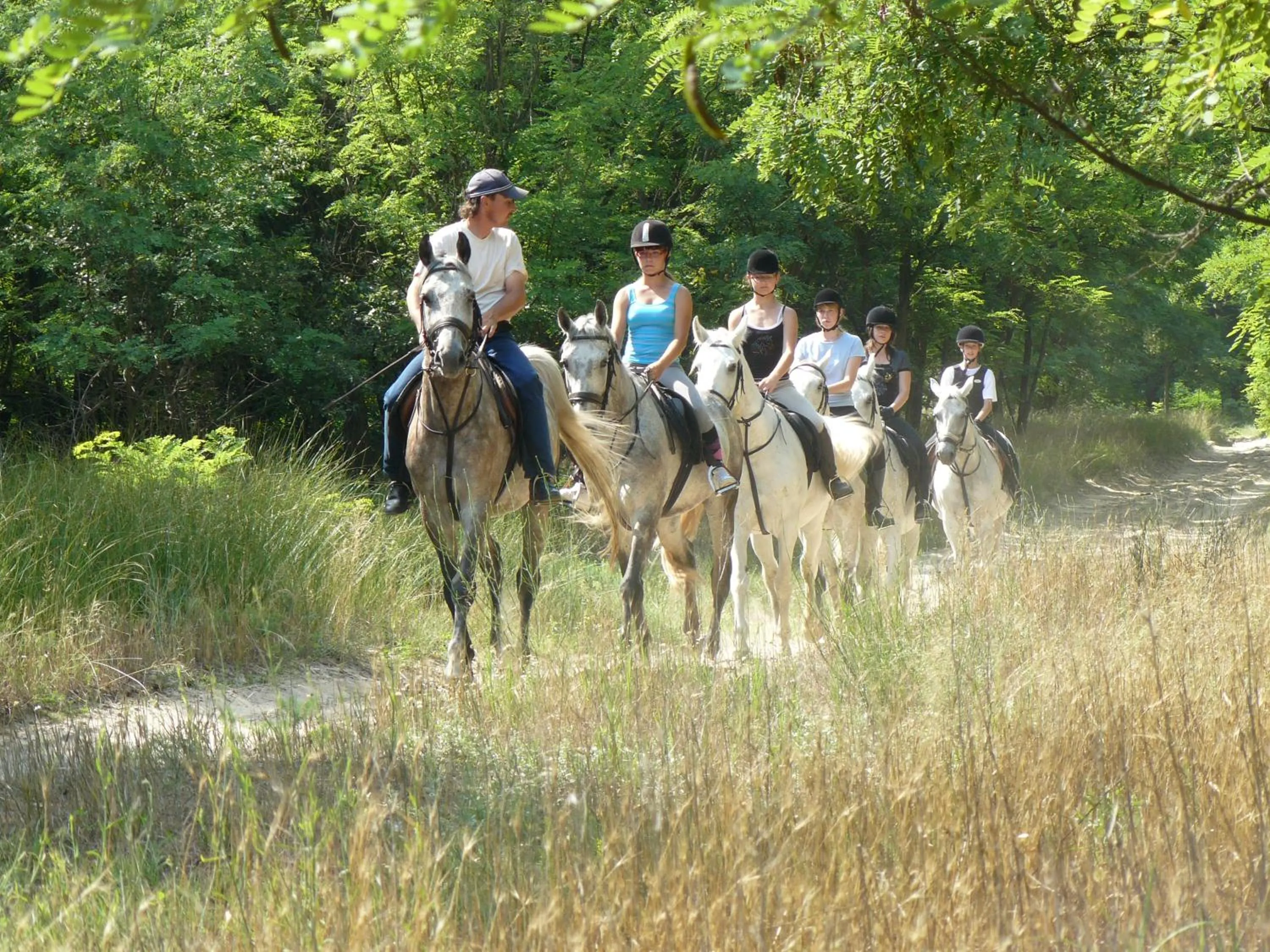 Horse-riding in Geréby Kúria Hotel és Lovasudvar