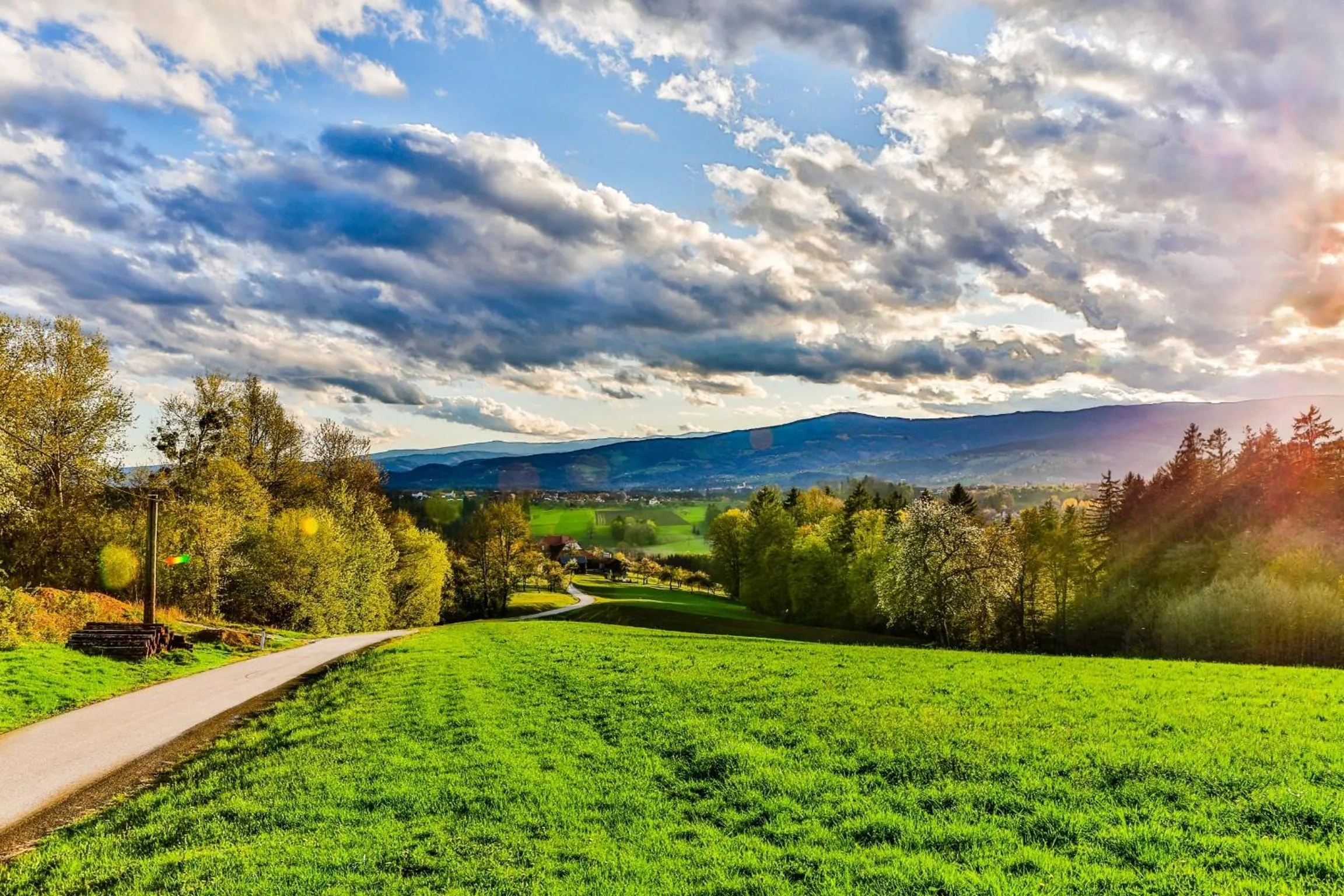 View (from property/room) in Frühstückspension Zanglhof