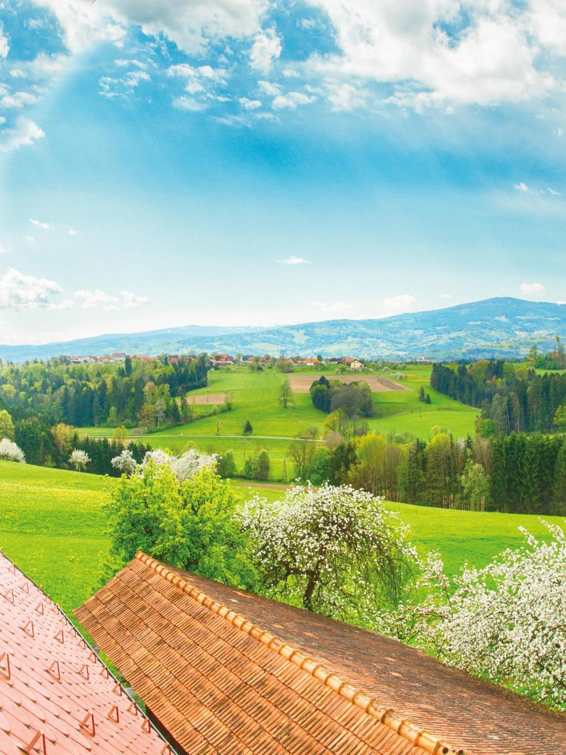 Natural landscape in Frühstückspension Zanglhof